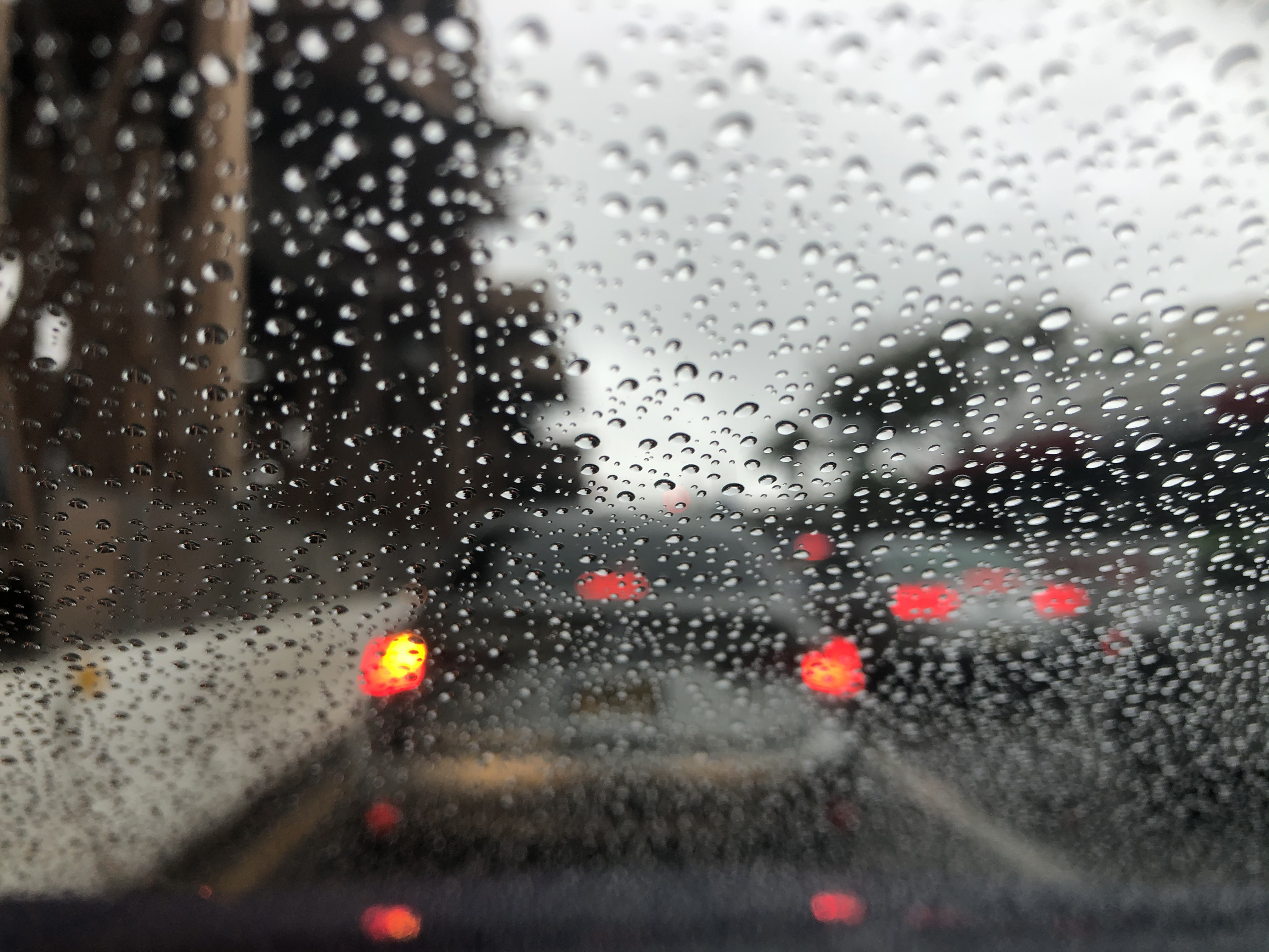 Rare July storm drenches parts of bone-dry greater San Diego - Vimarsana News