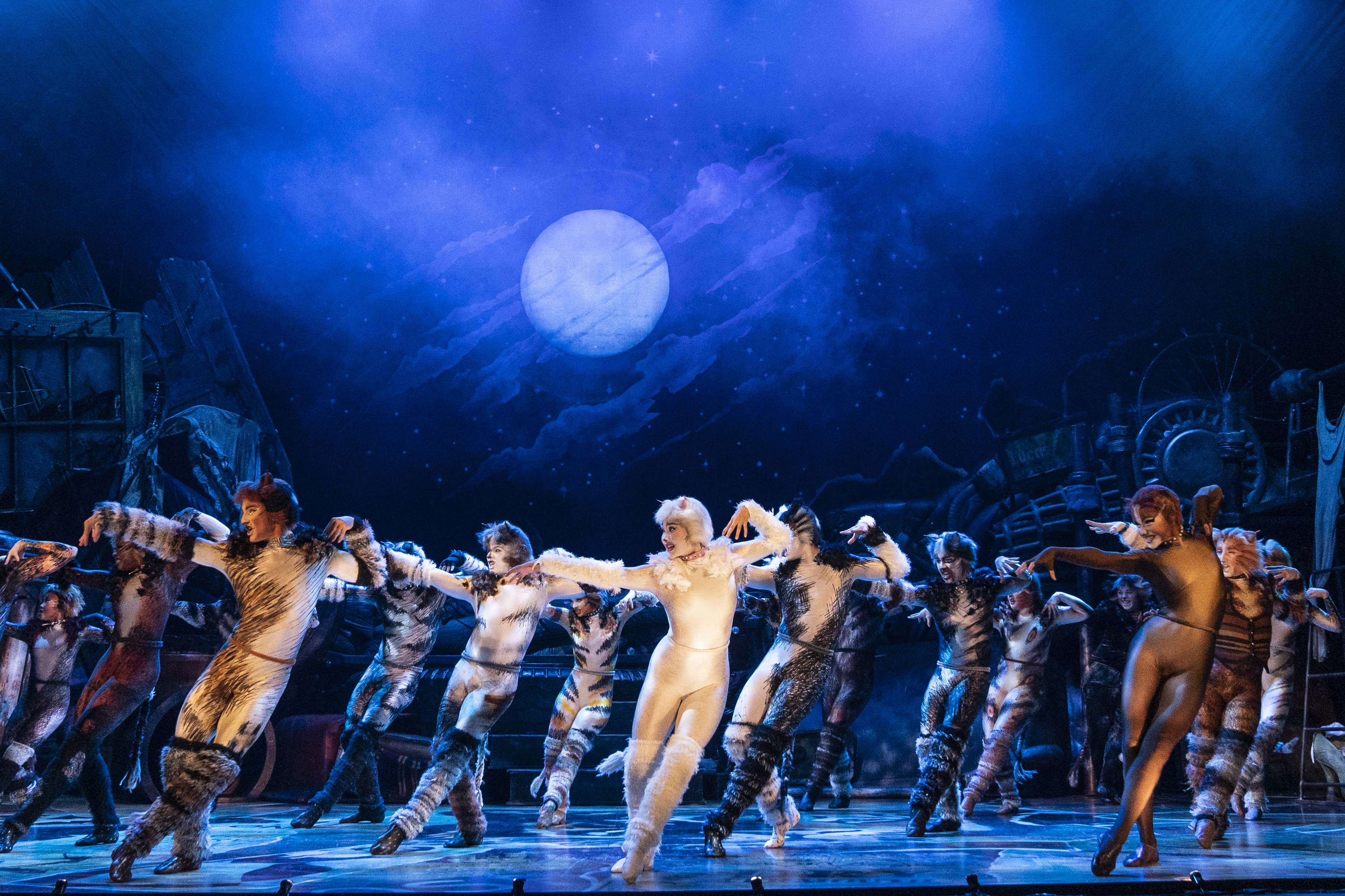 Arts & Culture Newsletter: 'Cats' ready to pounce on San Diego Civic Theatre for six-day run - Vimarsana News