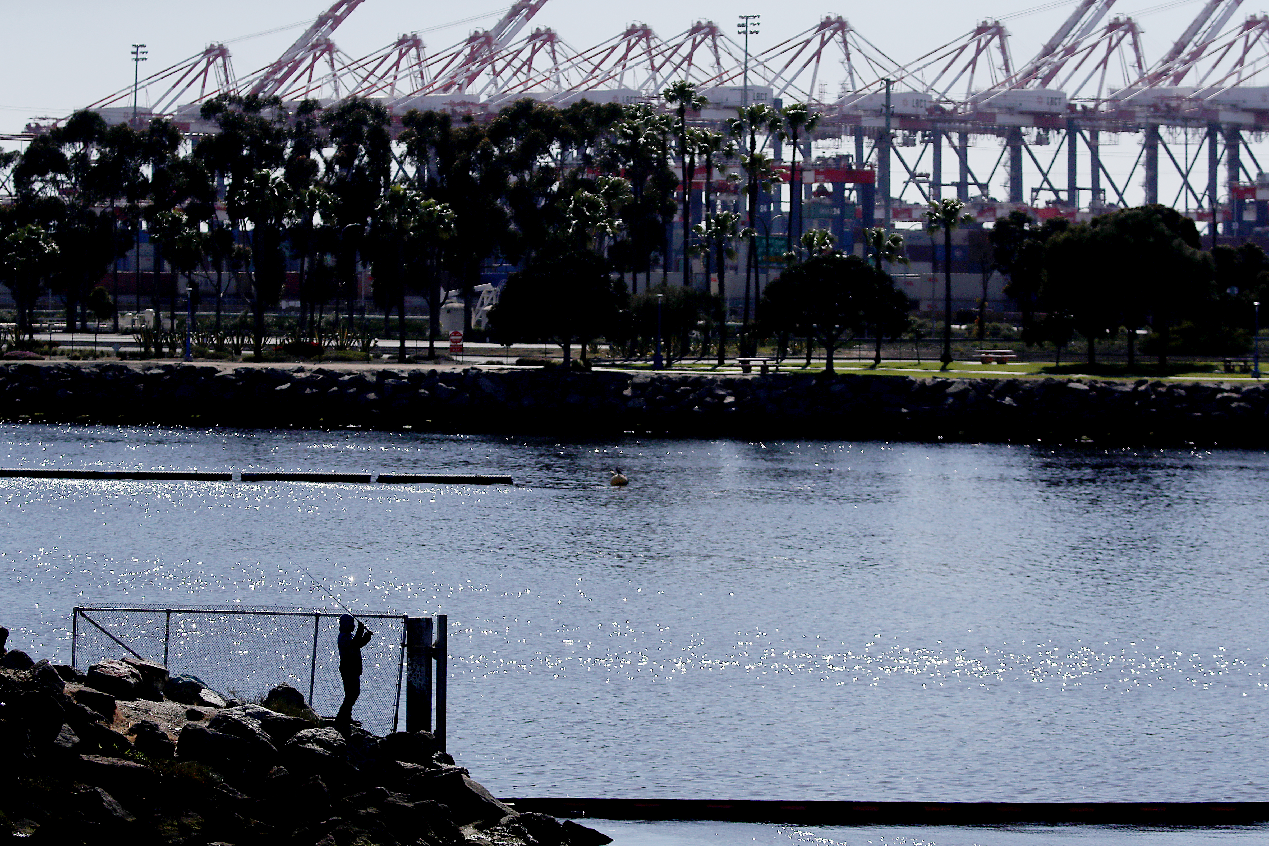 Long Beach dockworkers billed health plan for sexual services, feds say - Vimarsana News