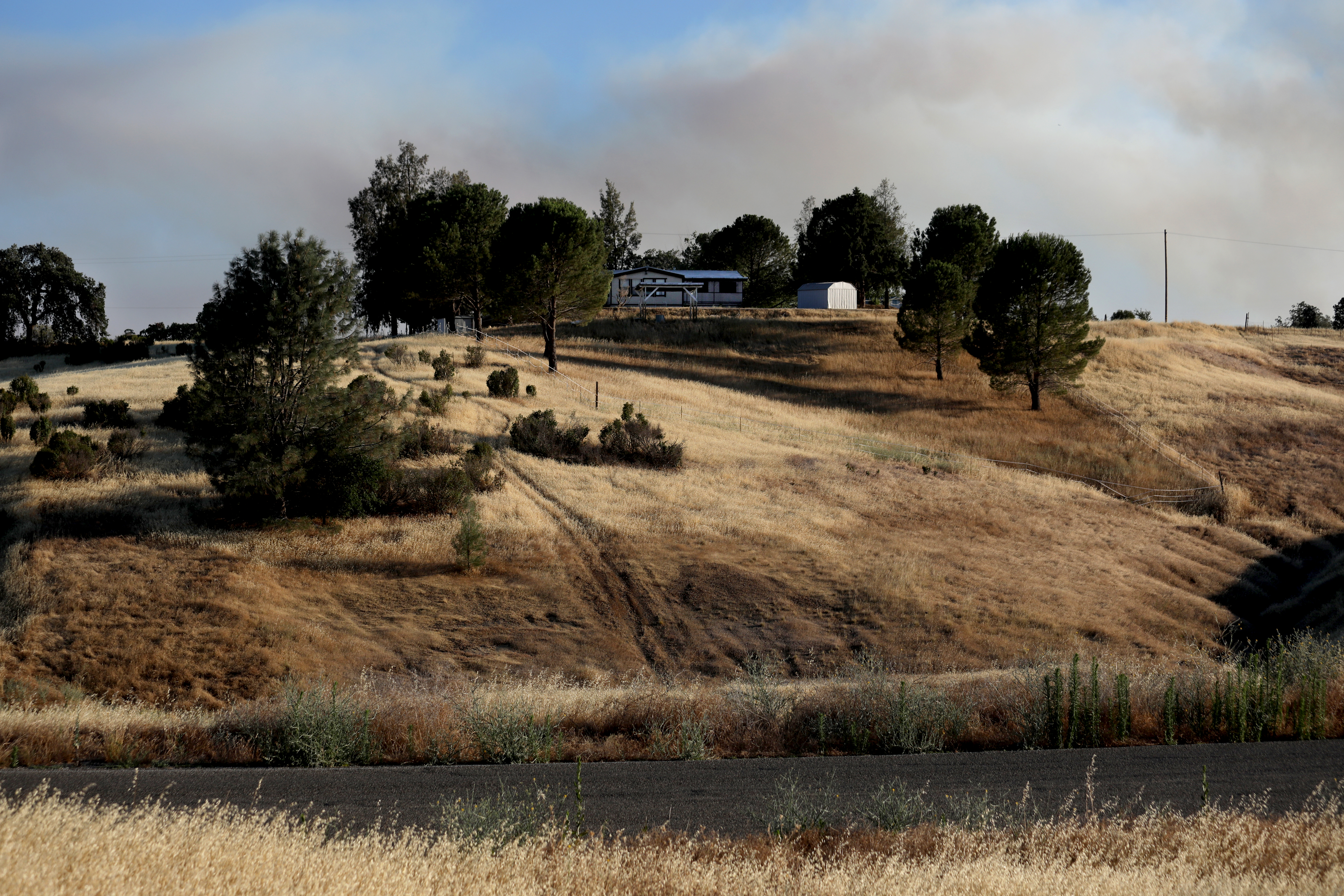 Victims of Rancho Tehama mass shooting still suffering - Vimarsana News