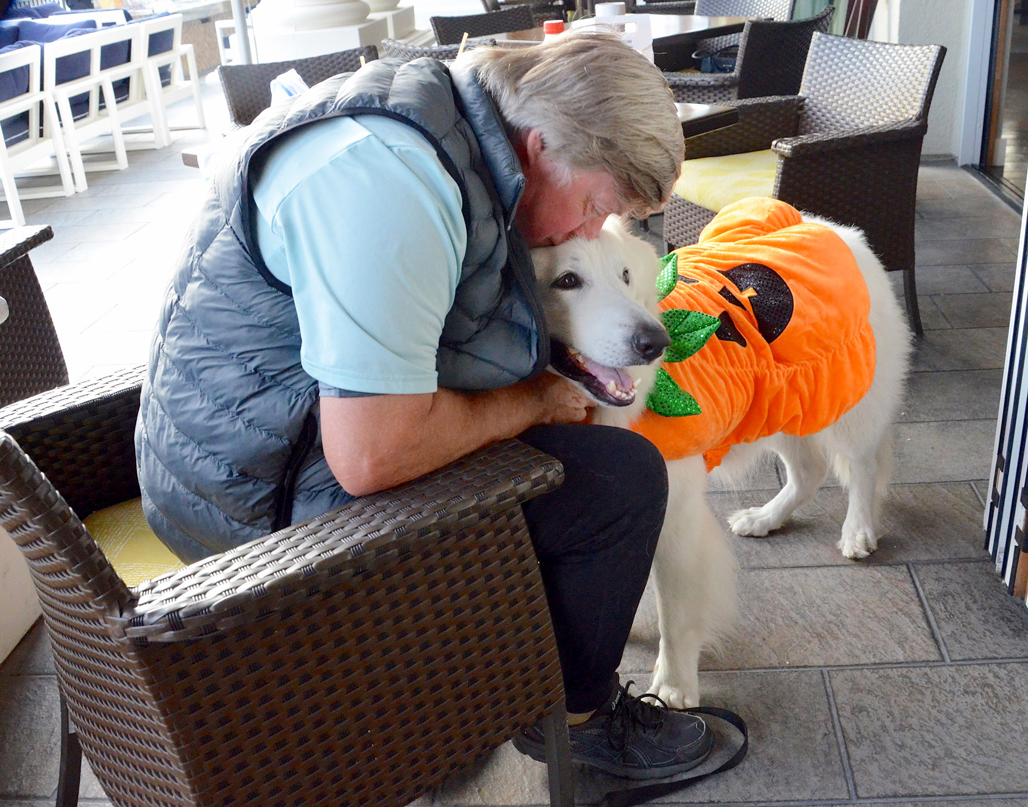 Balboa Bay Resort celebrates its first Howl-o-Ween - Vimarsana News