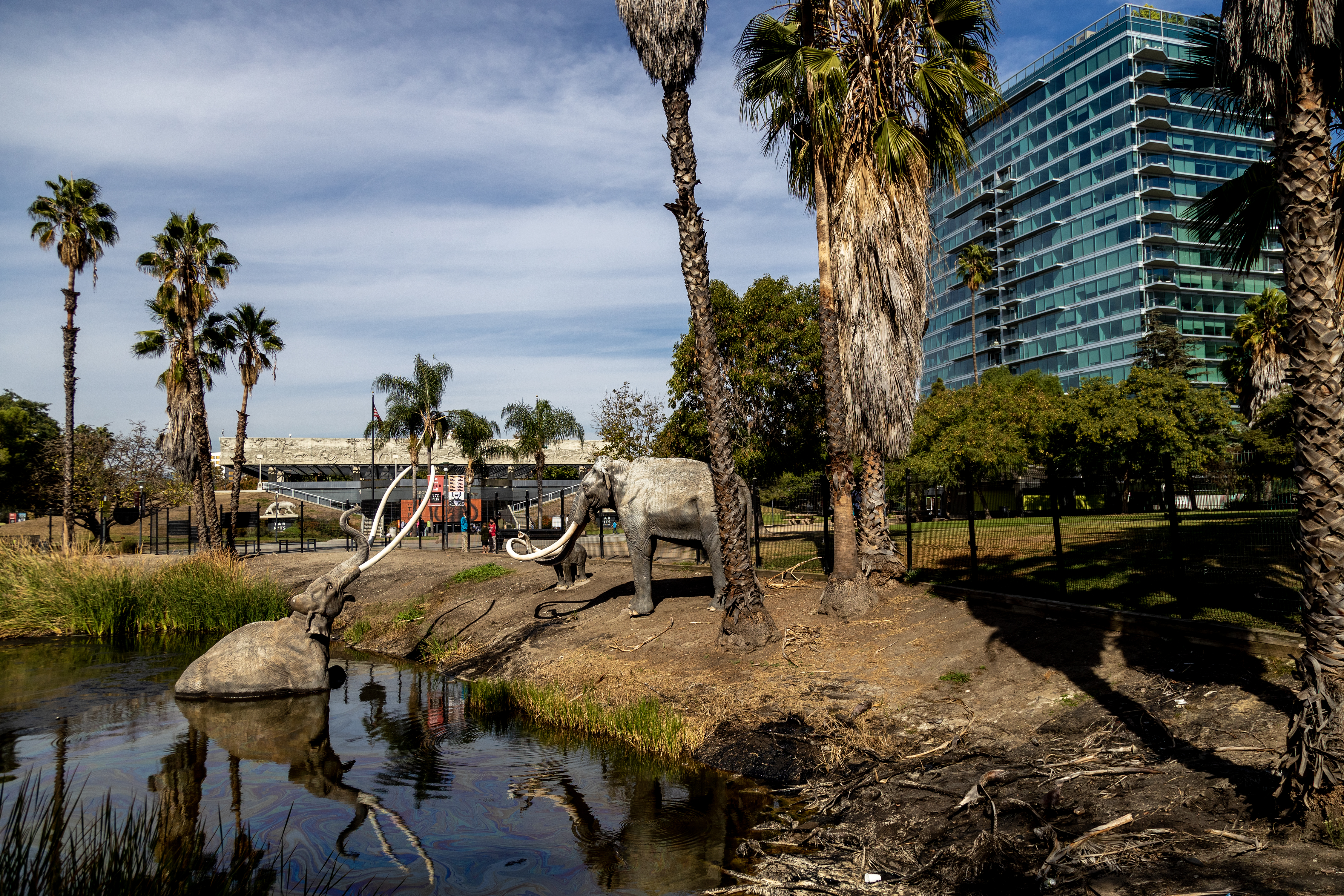 La Brea Tar Pits: 3 puzzling mysteries that hide within - Vimarsana News