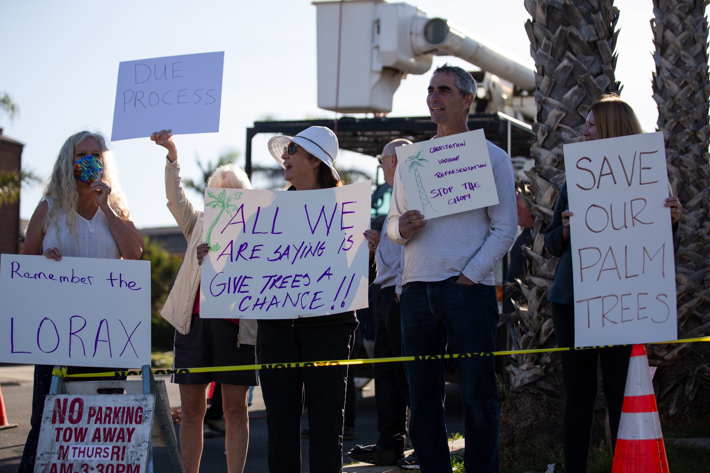 Ocean Beach residents protest the removal of cherished palm trees - Vimarsana News
