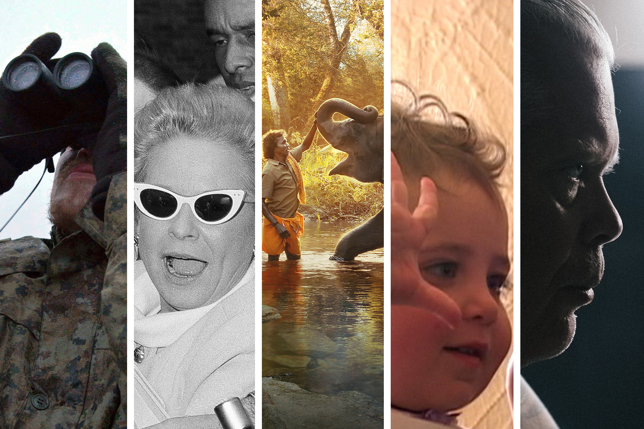 Rare journeys of the 2023 Oscar-nominated documentary shorts - Vimarsana News