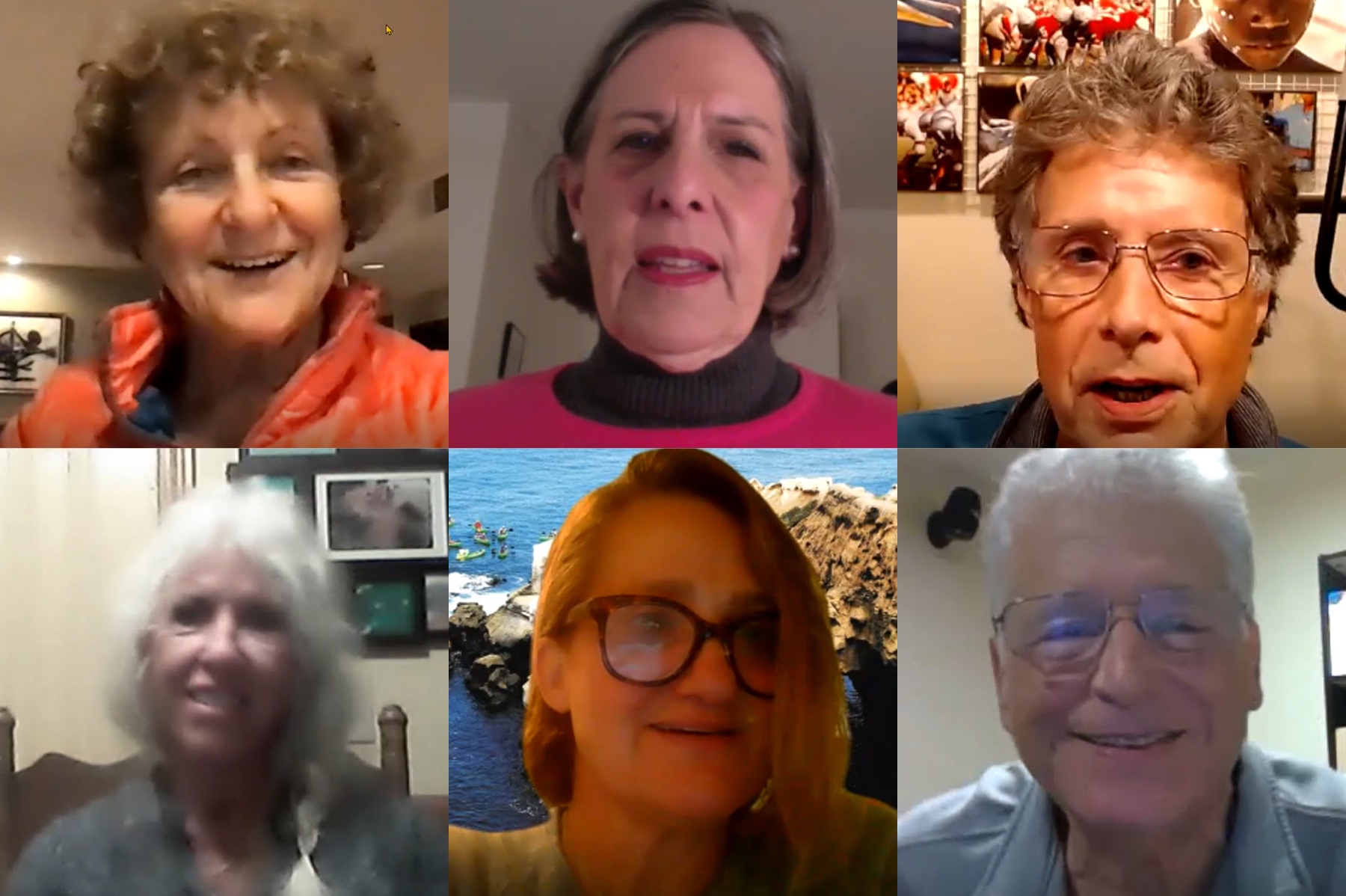 La Jolla Shores Association to fill 5 board seats - Vimarsana News