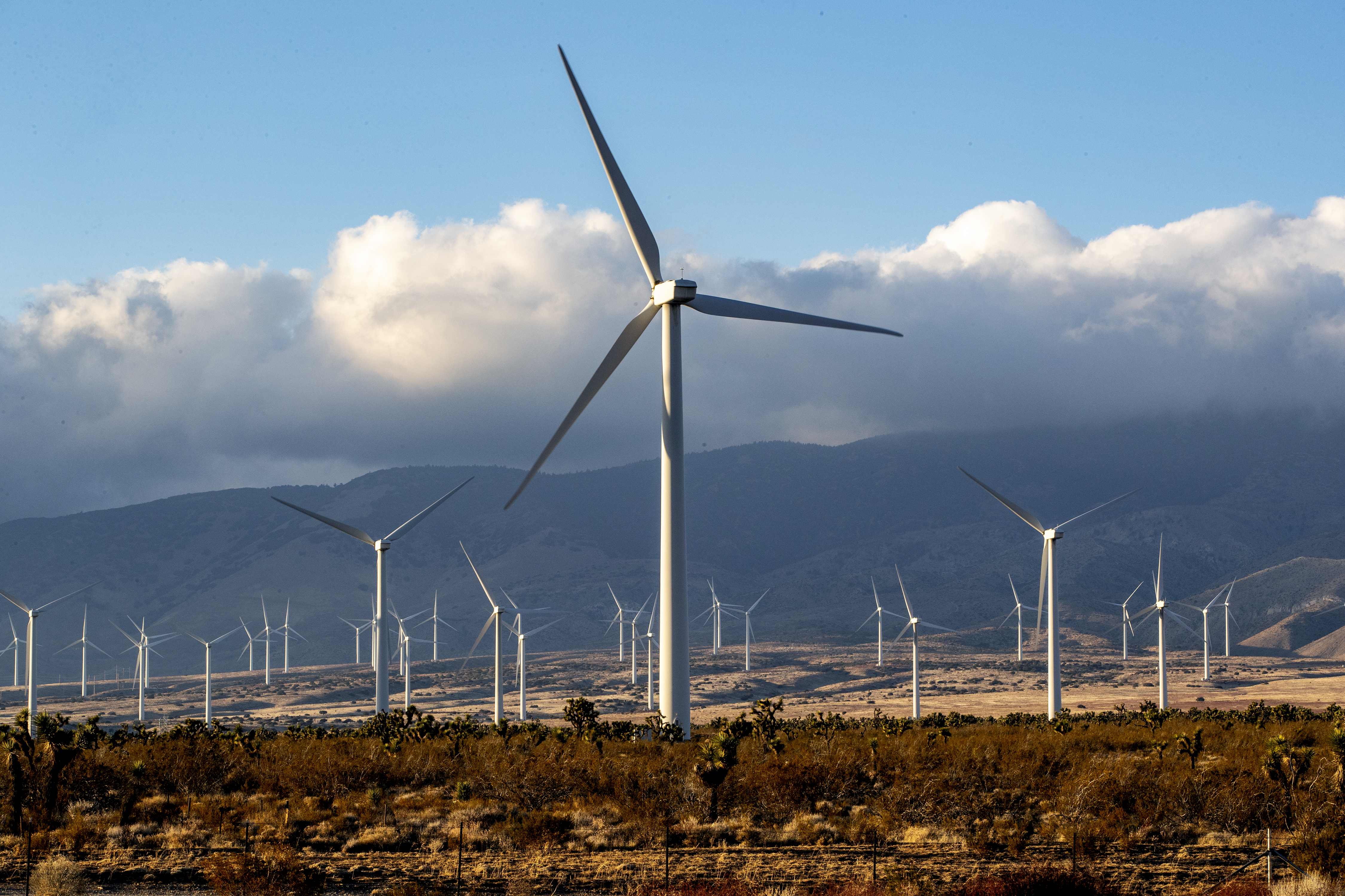 Here's what clean-energy companies want from President Biden - Vimarsana News