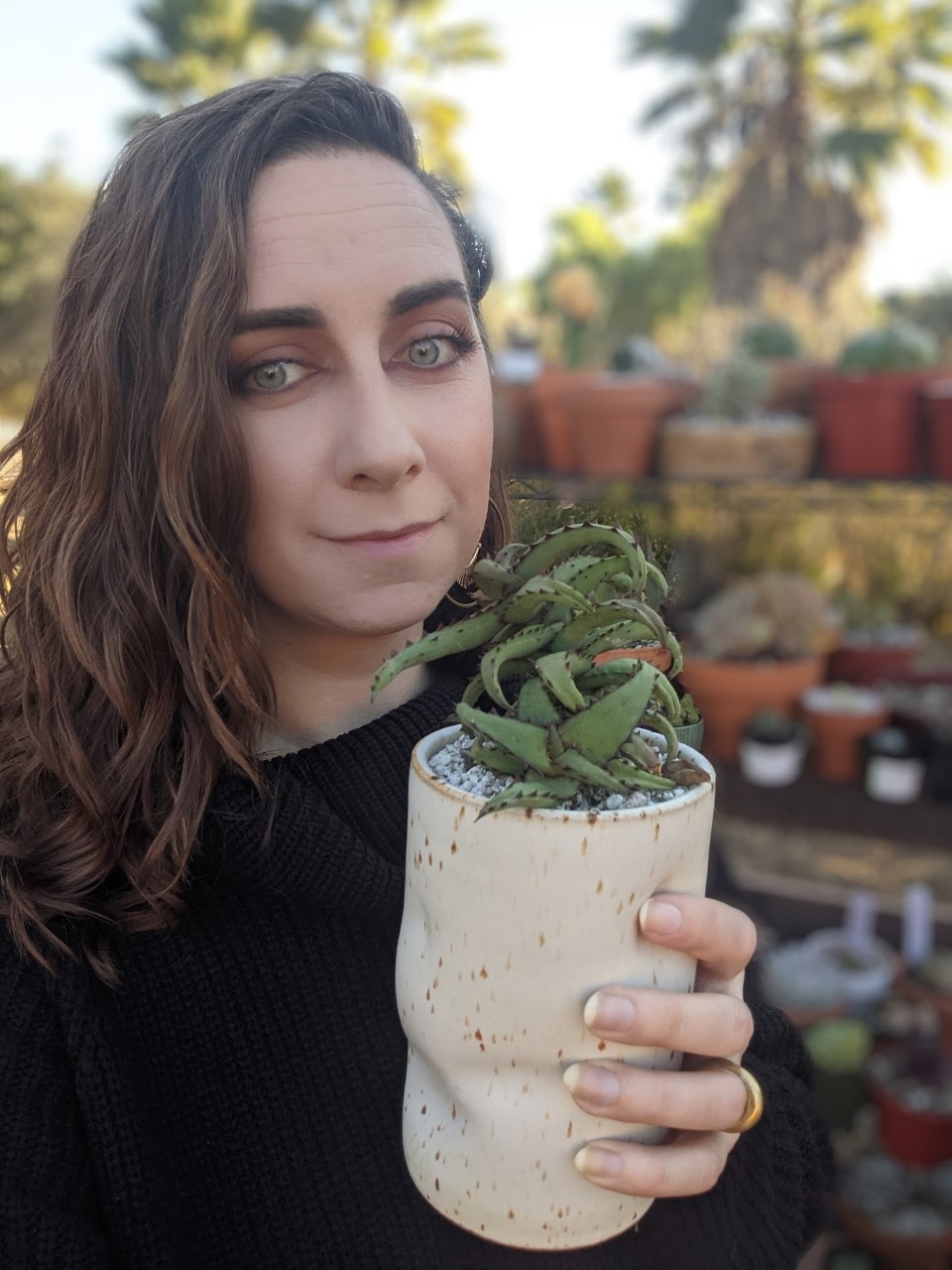 Best Bets: A quick guide to online and in-person entertainment and experiences - Vimarsana News