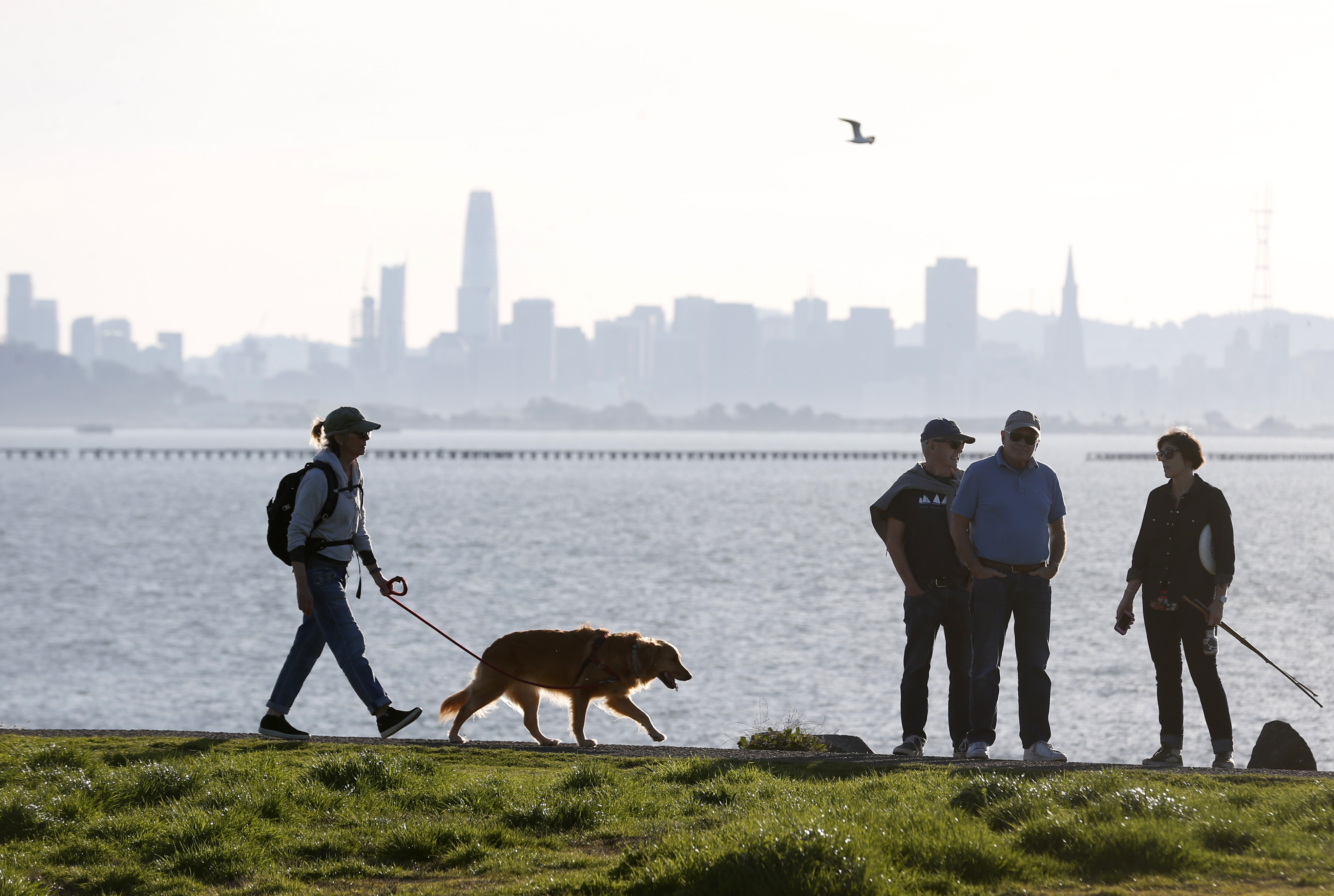 Explosive levels of methane detected at César Chávez Park in Berkeley - Vimarsana News