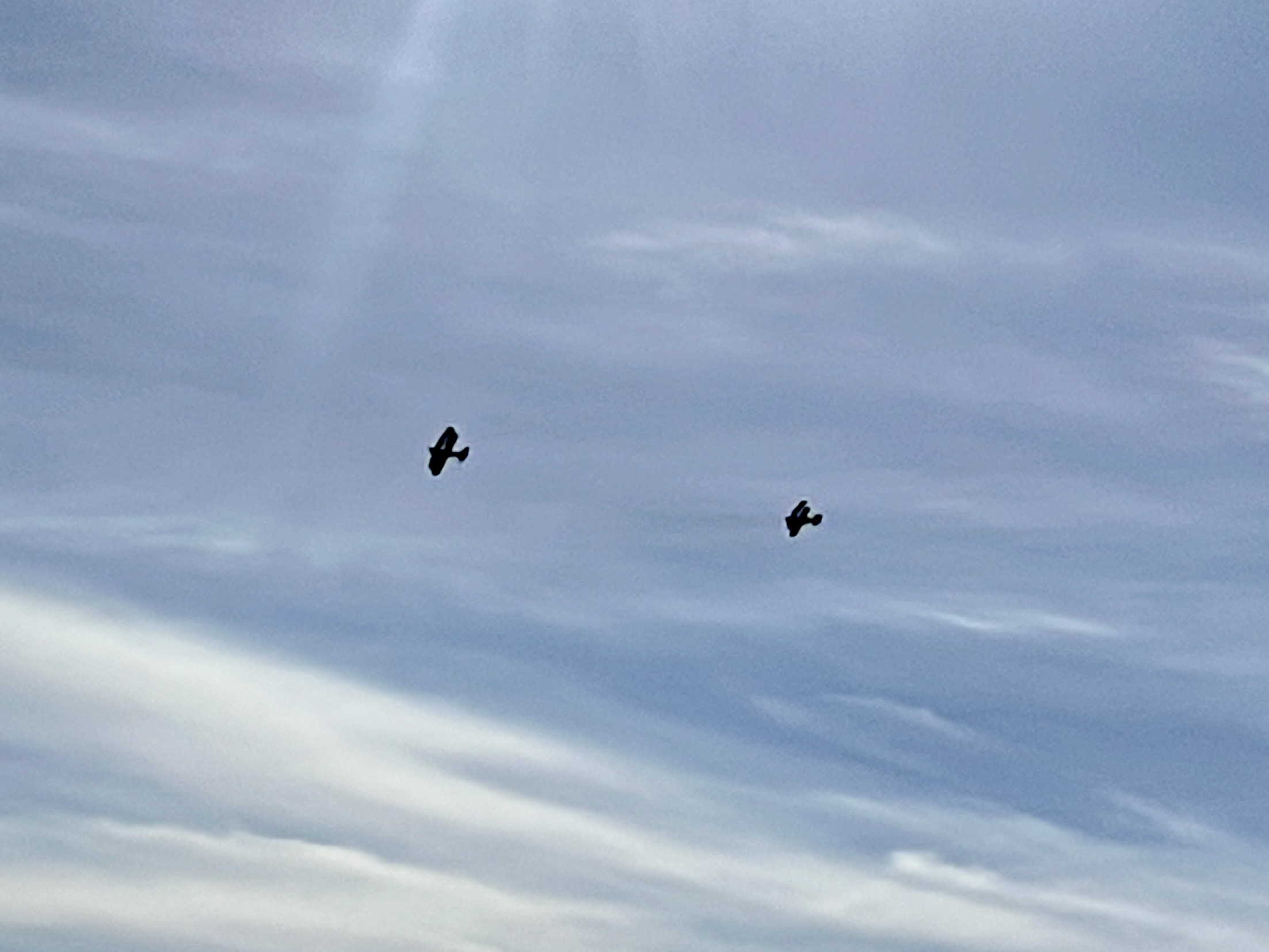 'Mount Soledad Wave': La Jollan organizes airborne salute to military veterans - Vimarsana News
