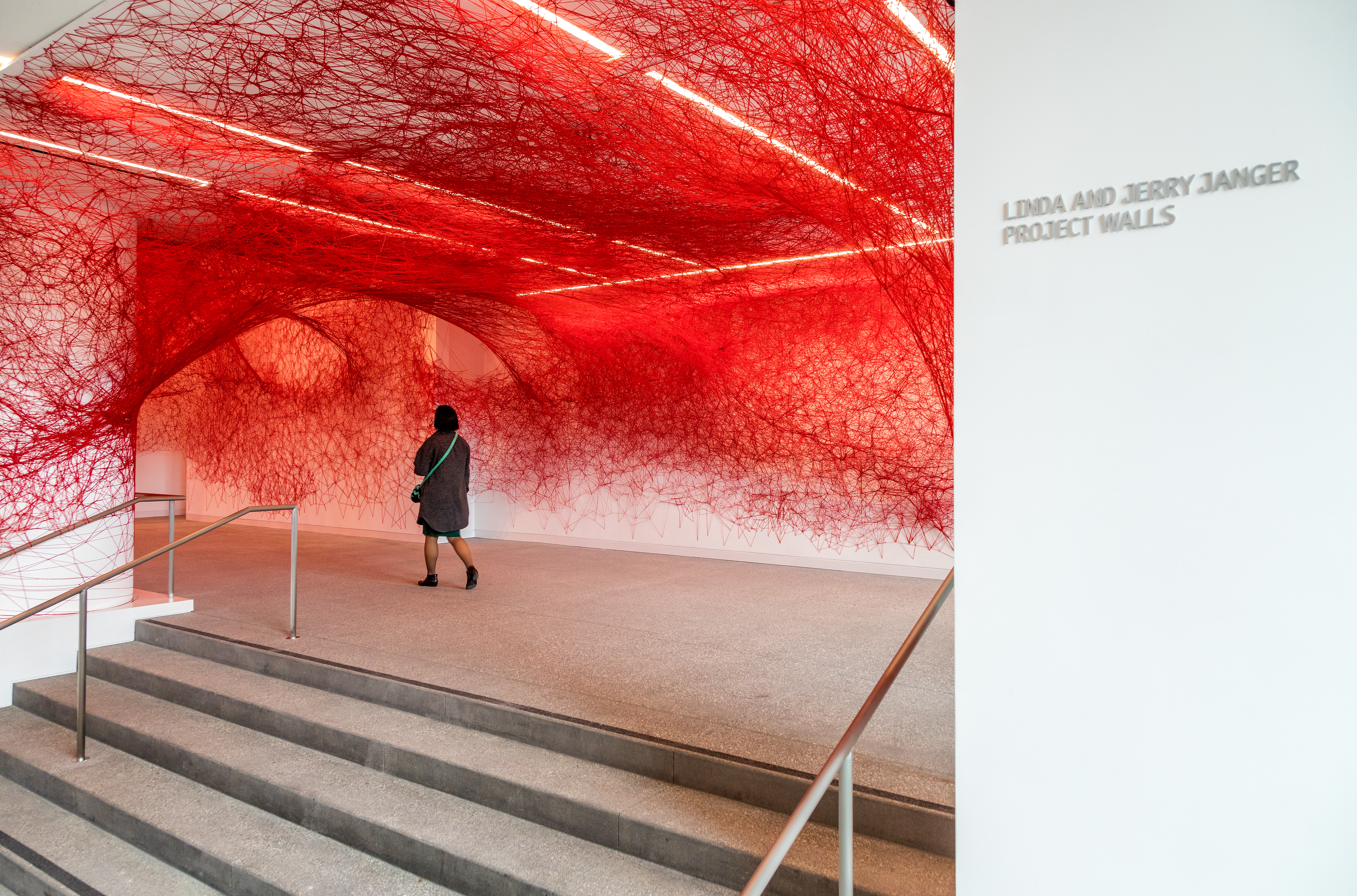 Photos: A first look at the Hammer Museum's reinvention - Vimarsana News
