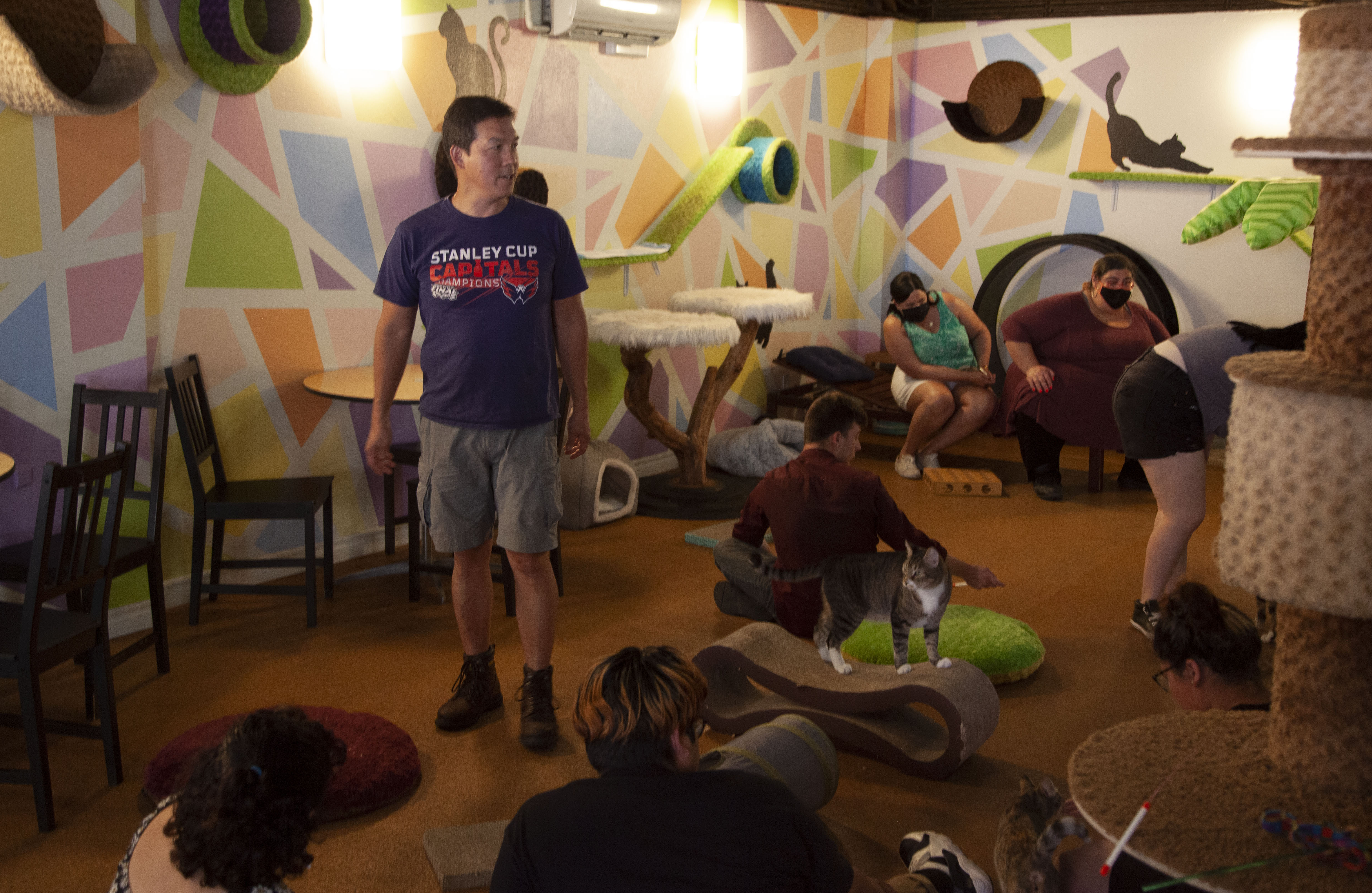 Column: Cat-lover alert! At San Diego's Cat Cafe, companionship and coffee are still on the menu - Vimarsana News