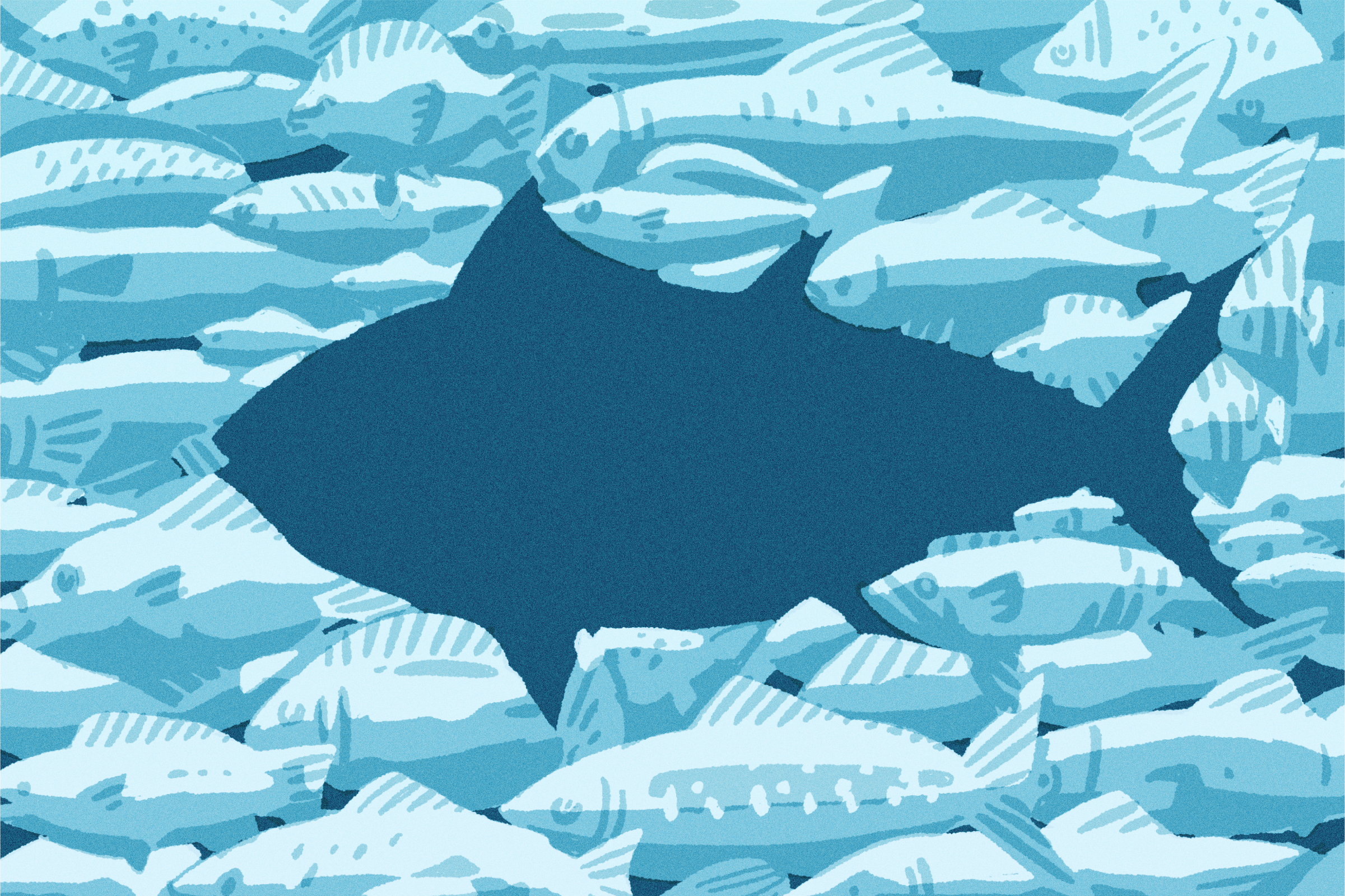 Should we be eating bluefin tuna? It's complicated - Vimarsana News