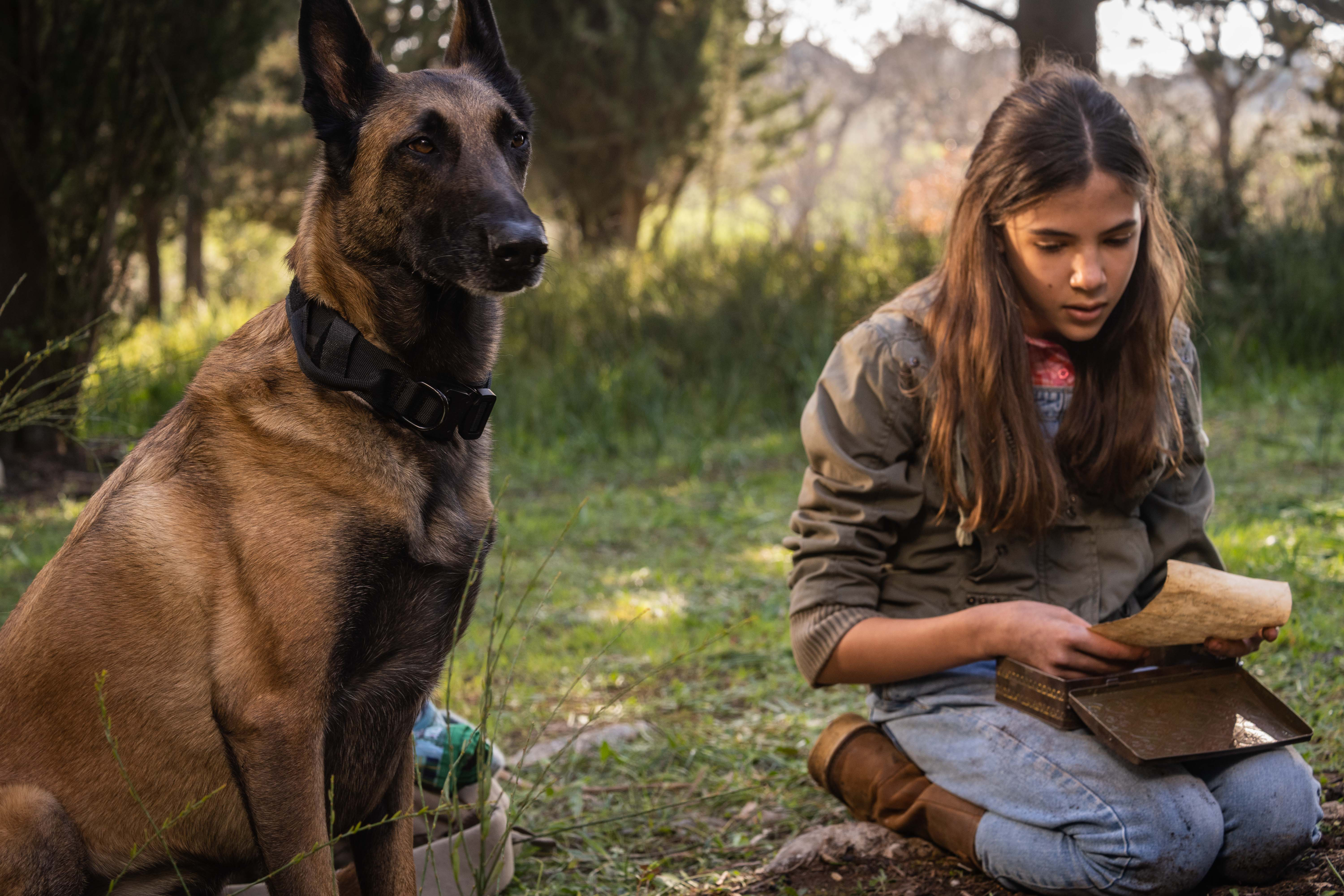 'Dakota' review: Family drama needed more of the dog - Vimarsana News