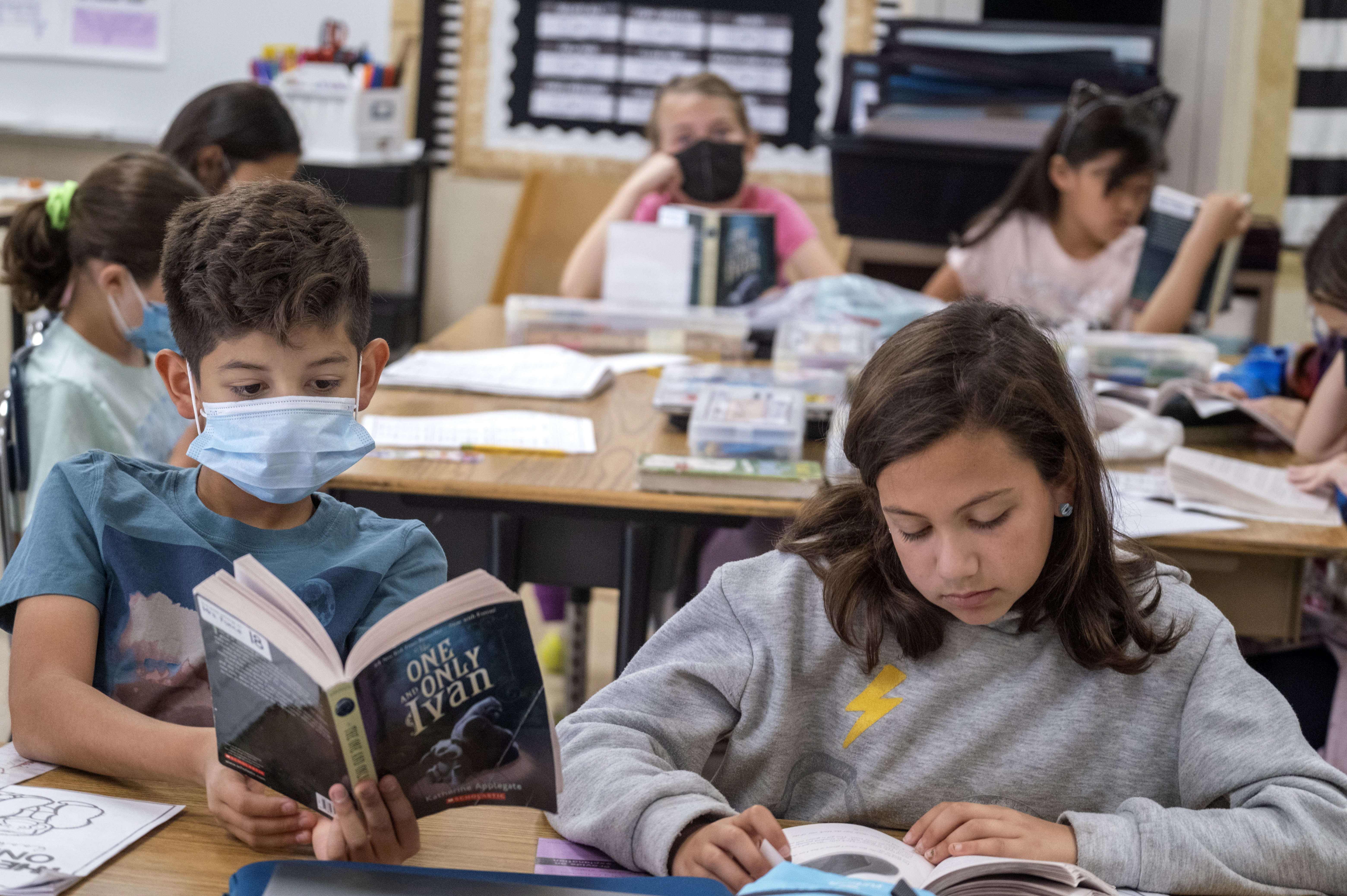 California test scores show deep pandemic drops; math worst - Vimarsana News