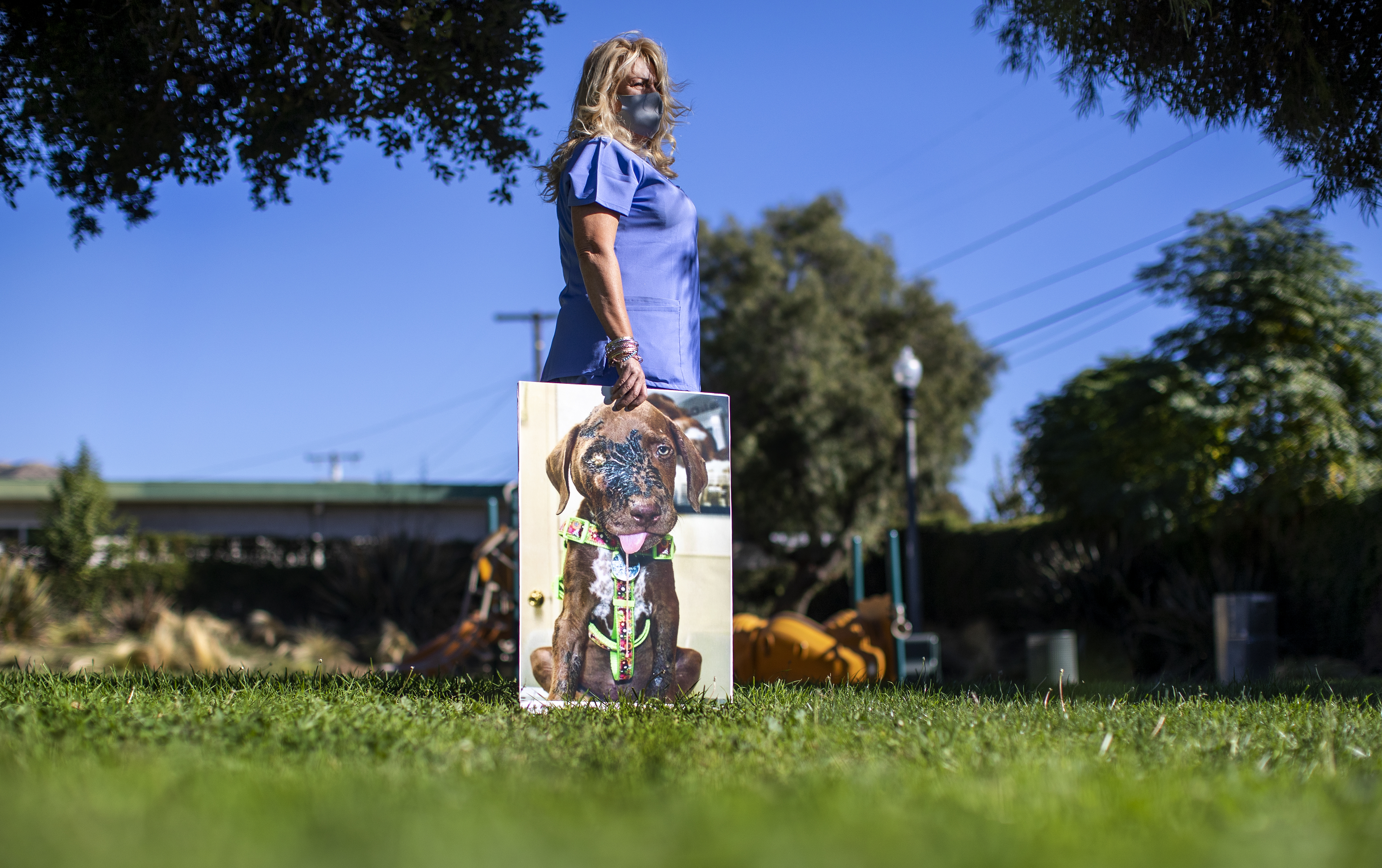 L.A. activist Marc Ching and his foundation exaggerated tales of animal abuse, vets and rescuers say - Vimarsana News