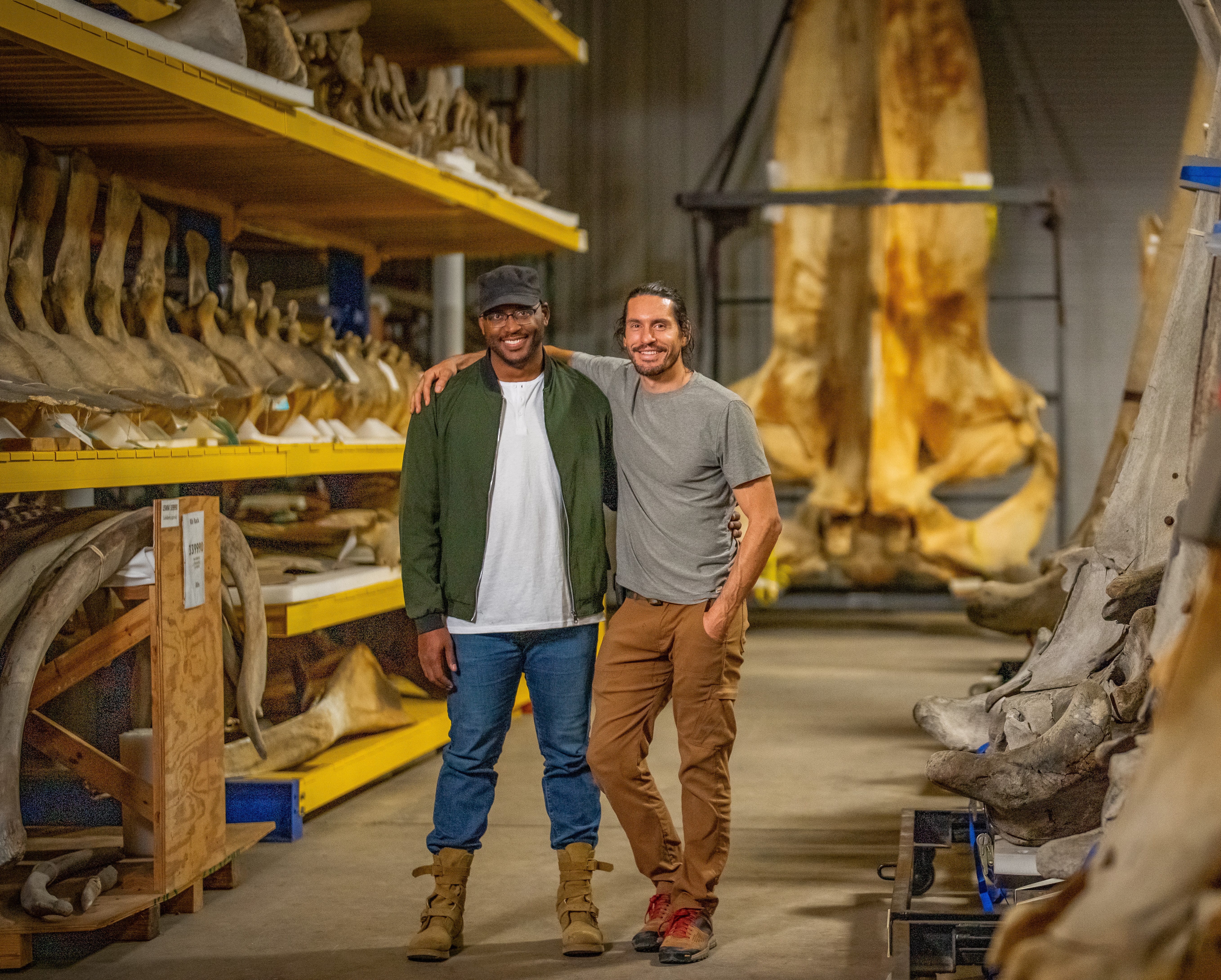 Diane Bell: PBS series by San Diego producers investigates evolution - Vimarsana News