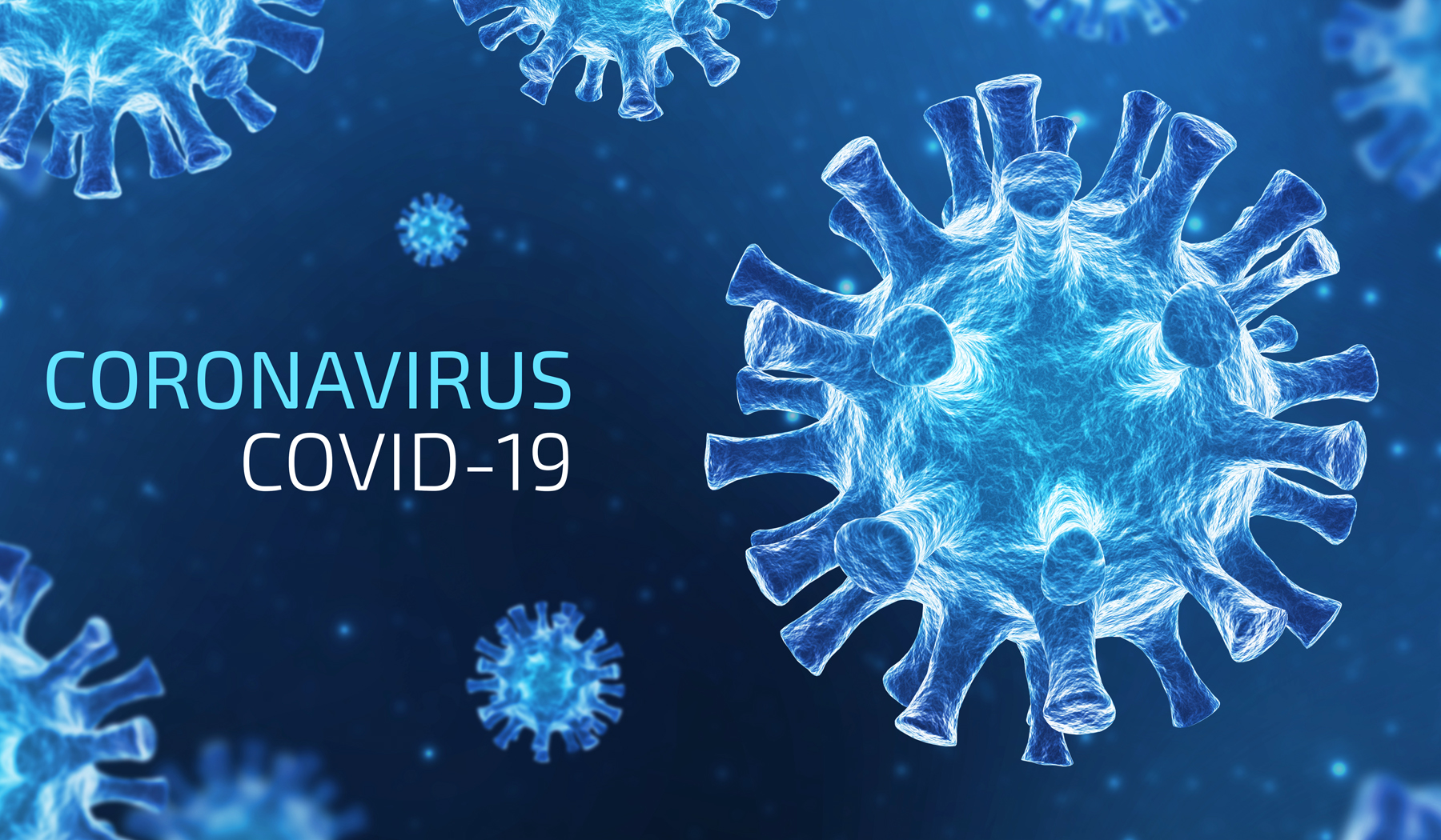 La Jolla scientists identify human genes that fight virus that causes COVID-19 - Vimarsana News