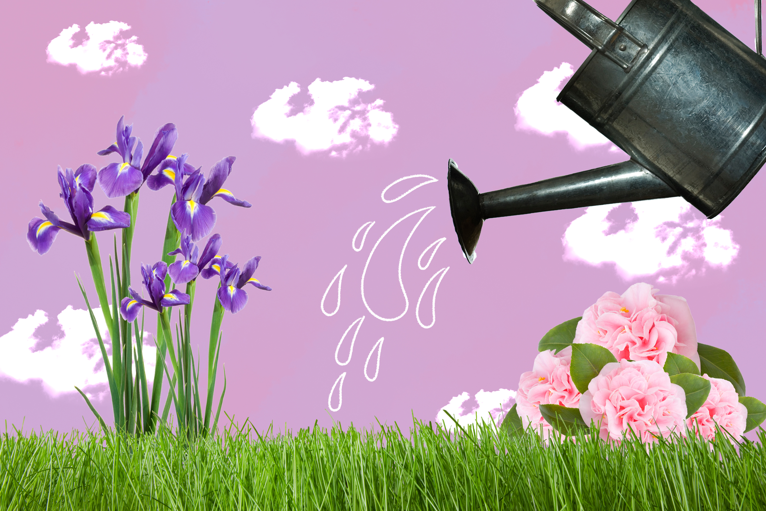 How to plant in the spring, and other SoCal gardening events - Vimarsana News