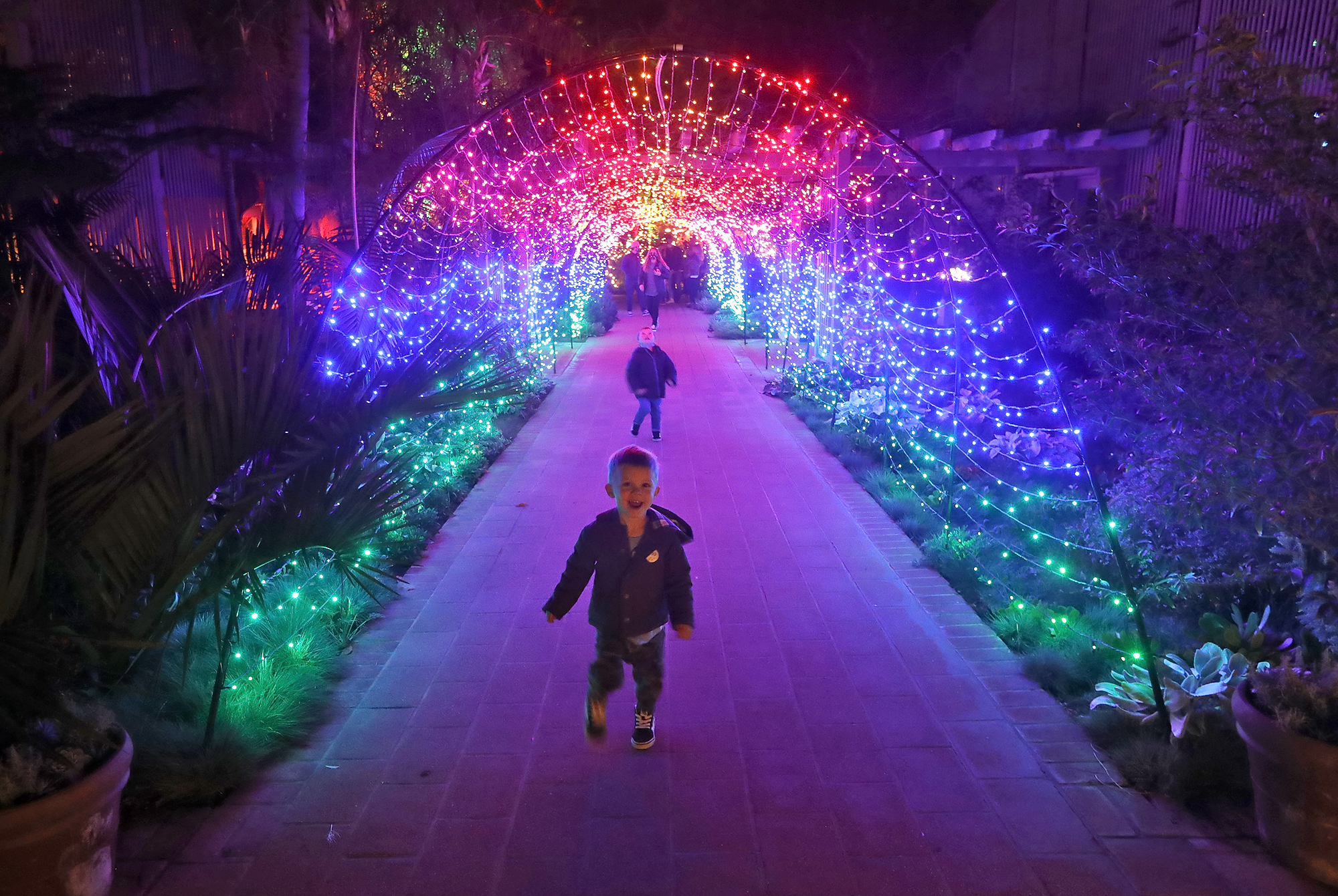 Around Town: 'Nights of 1,000 Lights' to return to Sherman Library & Gardens in December - Vimarsana News