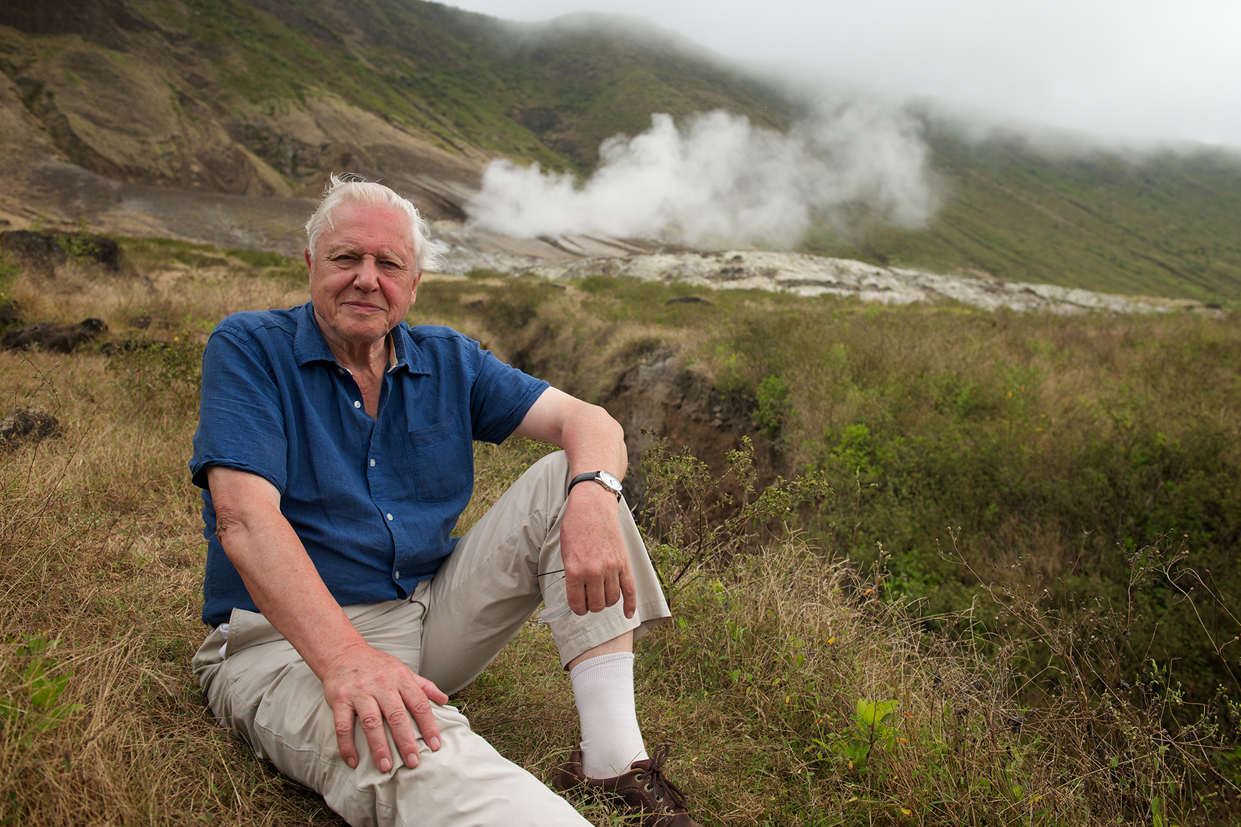 What to watch Saturday David Attenborough; Dodgers v Angels; - Vimarsana News