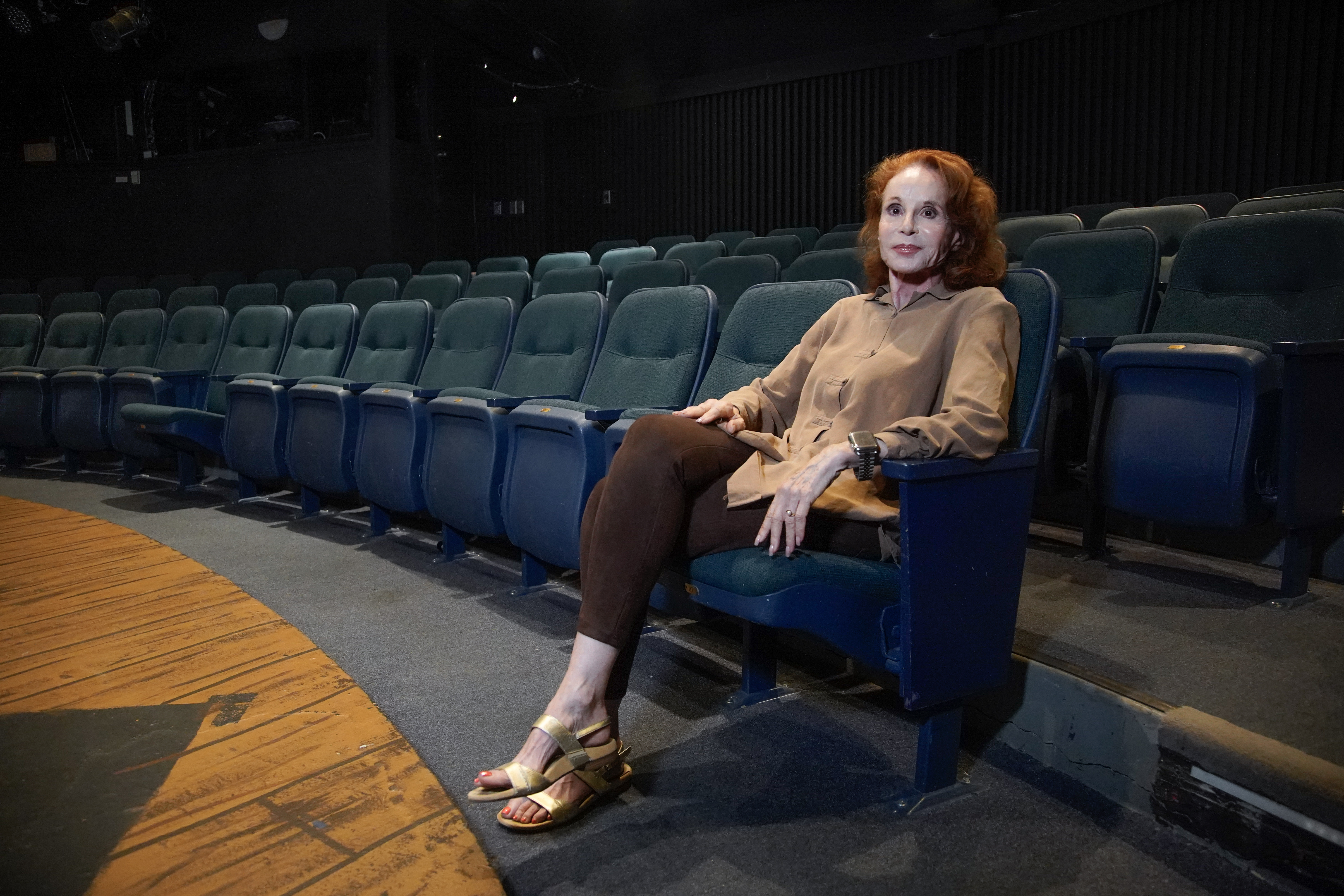 Offstage drama: San Diego theaters reeling from one-two punch of falling revenue and rising costs - Vimarsana News