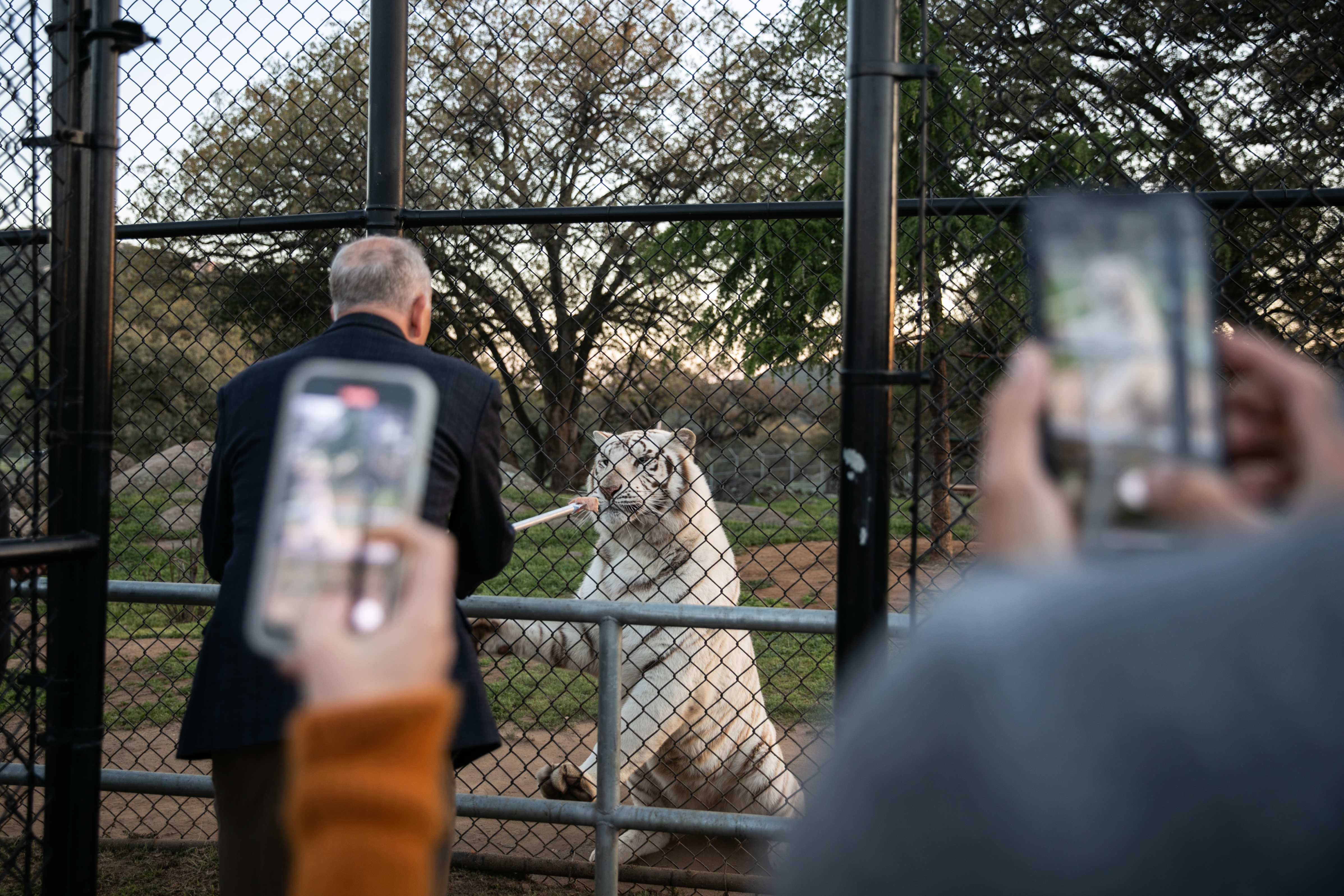 Big cat sanctuary opens new event space to help fund rescues nationwide - Vimarsana News