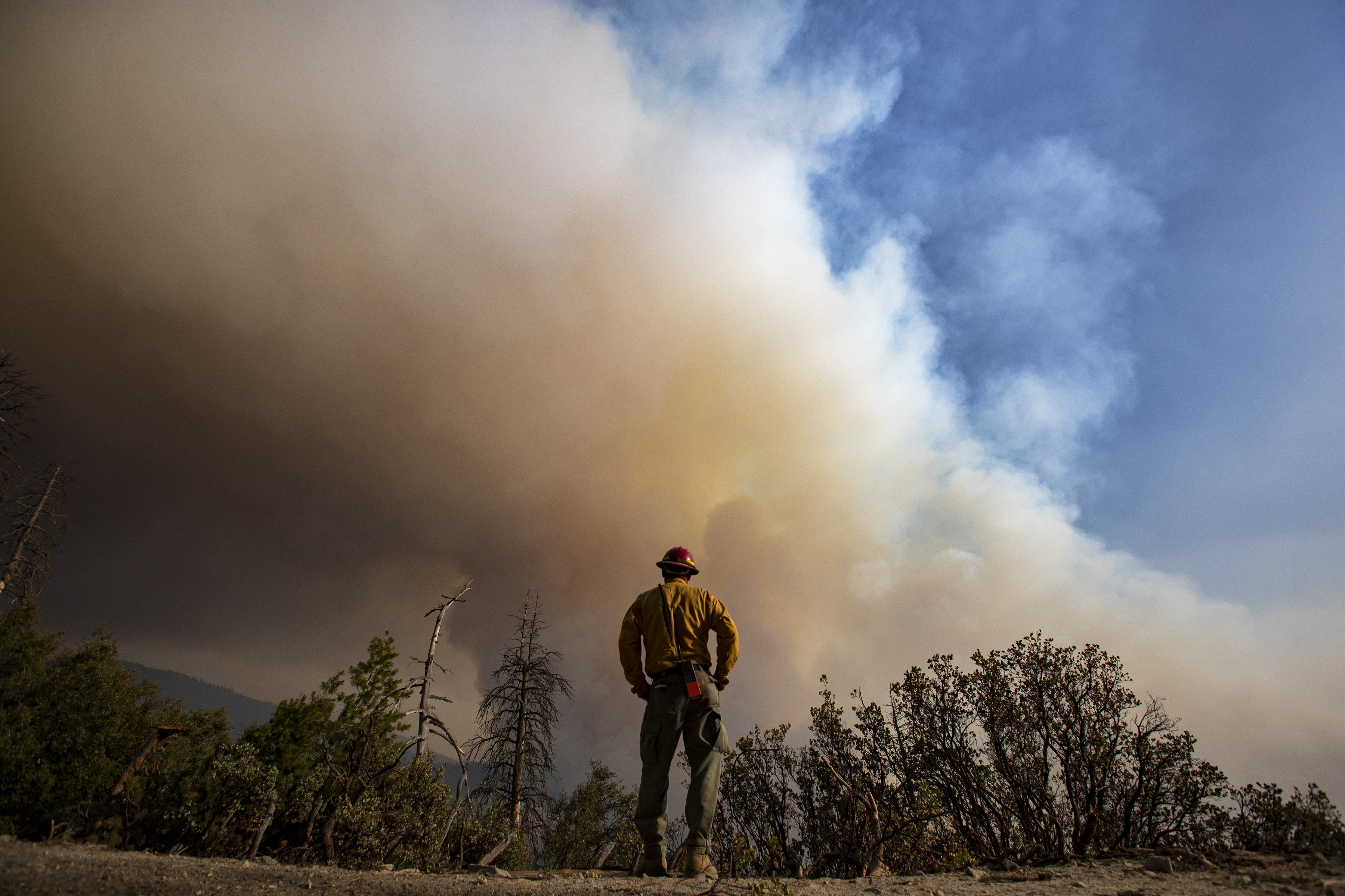 Op-Ed: Climate change wrecks health. Climate doctors are needed - Vimarsana News
