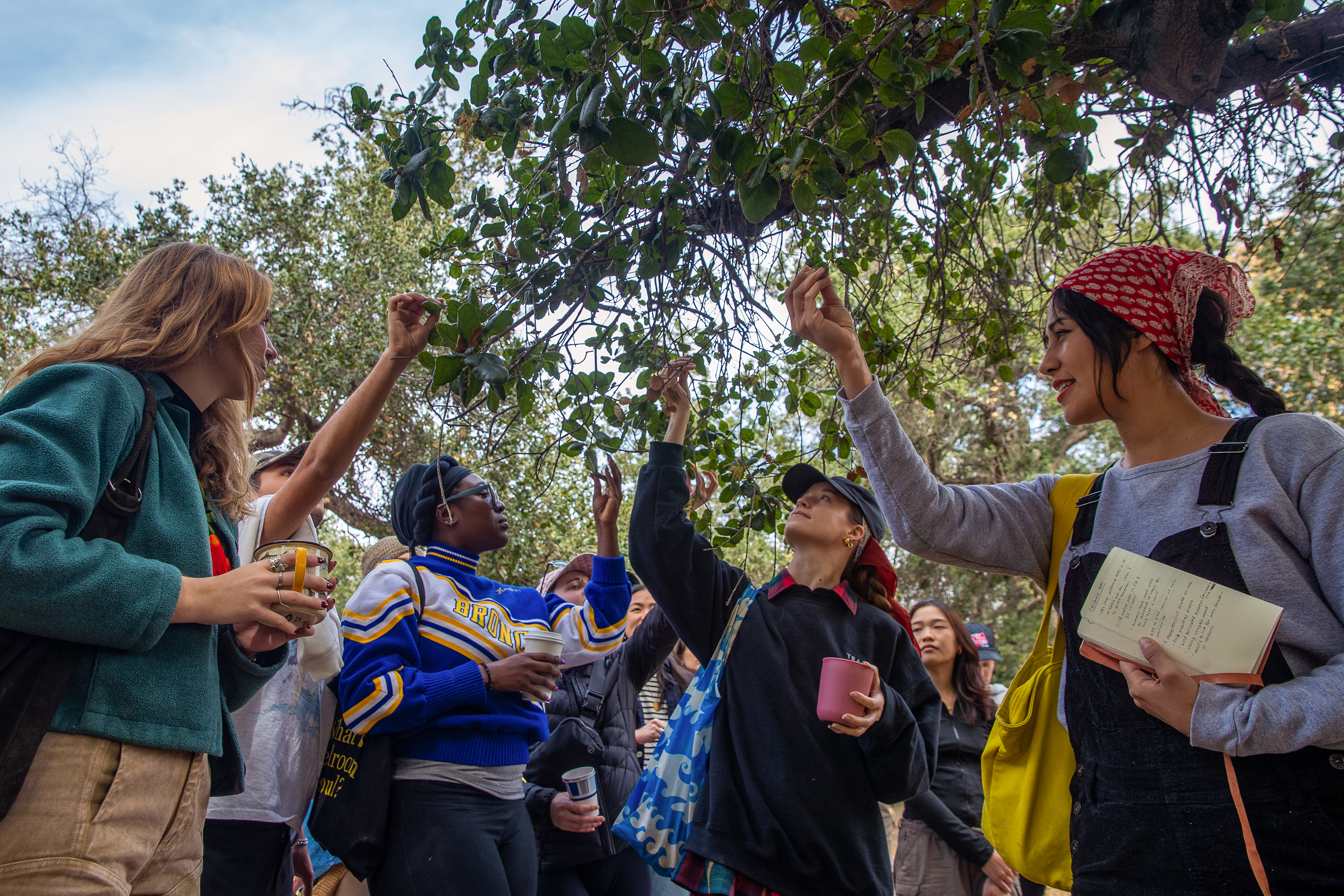 Embrace the outdoors with USAL Project, an L.A. nature club - Vimarsana News