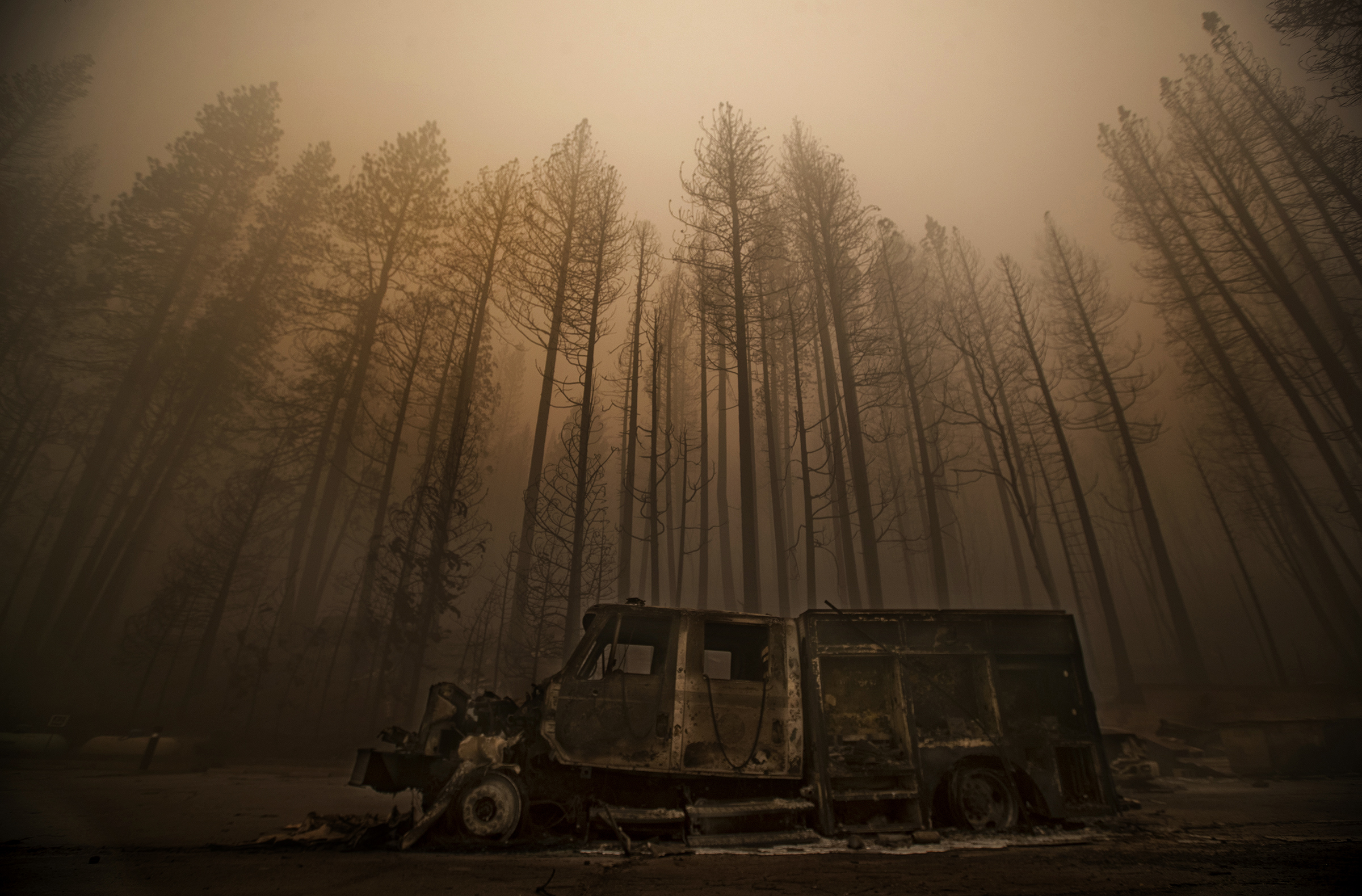 Climate change is now the main driver of increasing wildfire weather, study finds - Vimarsana News