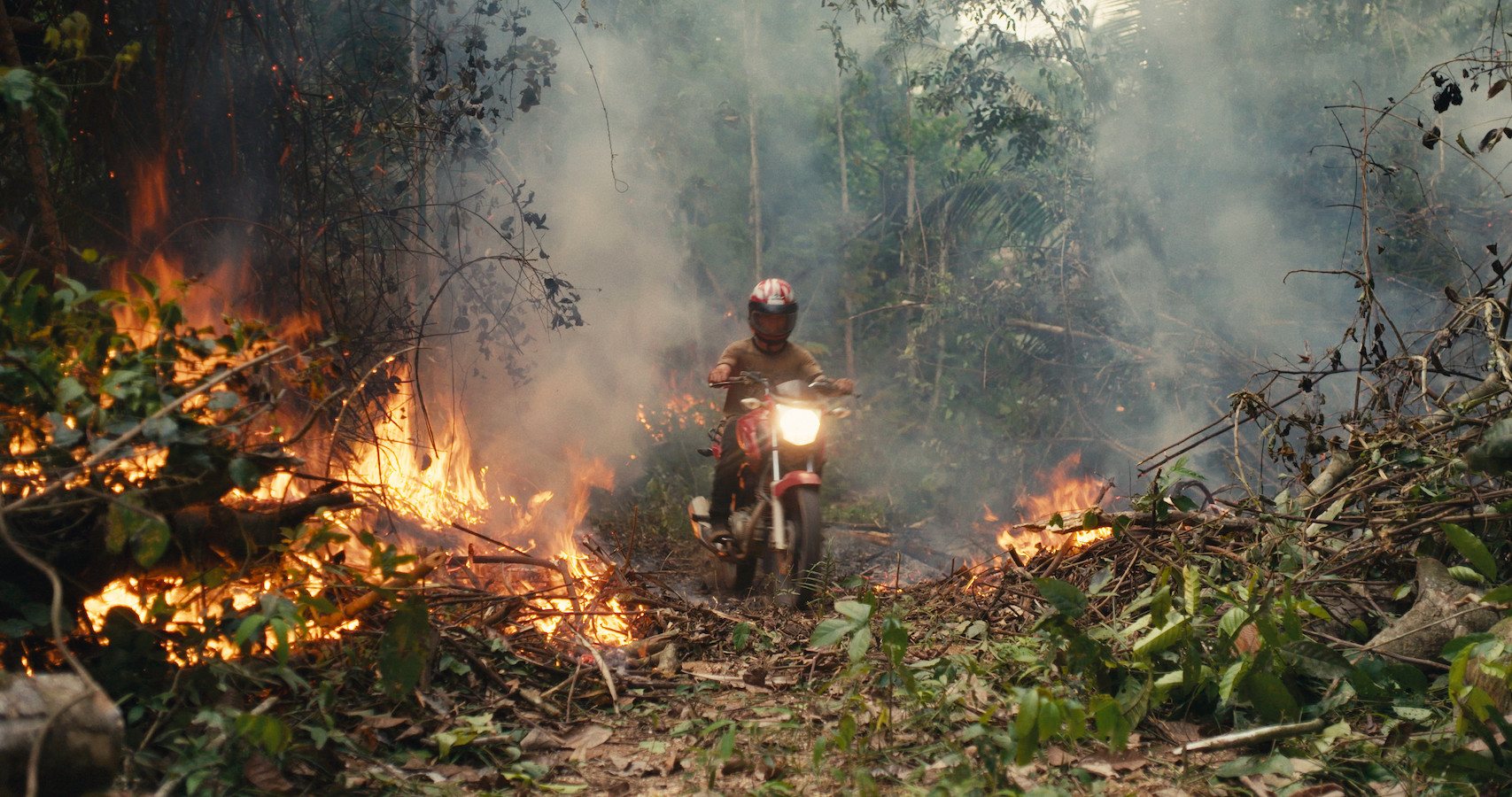 'The Territory' documents rainforest invasions - Los Angeles Times - Vimarsana News