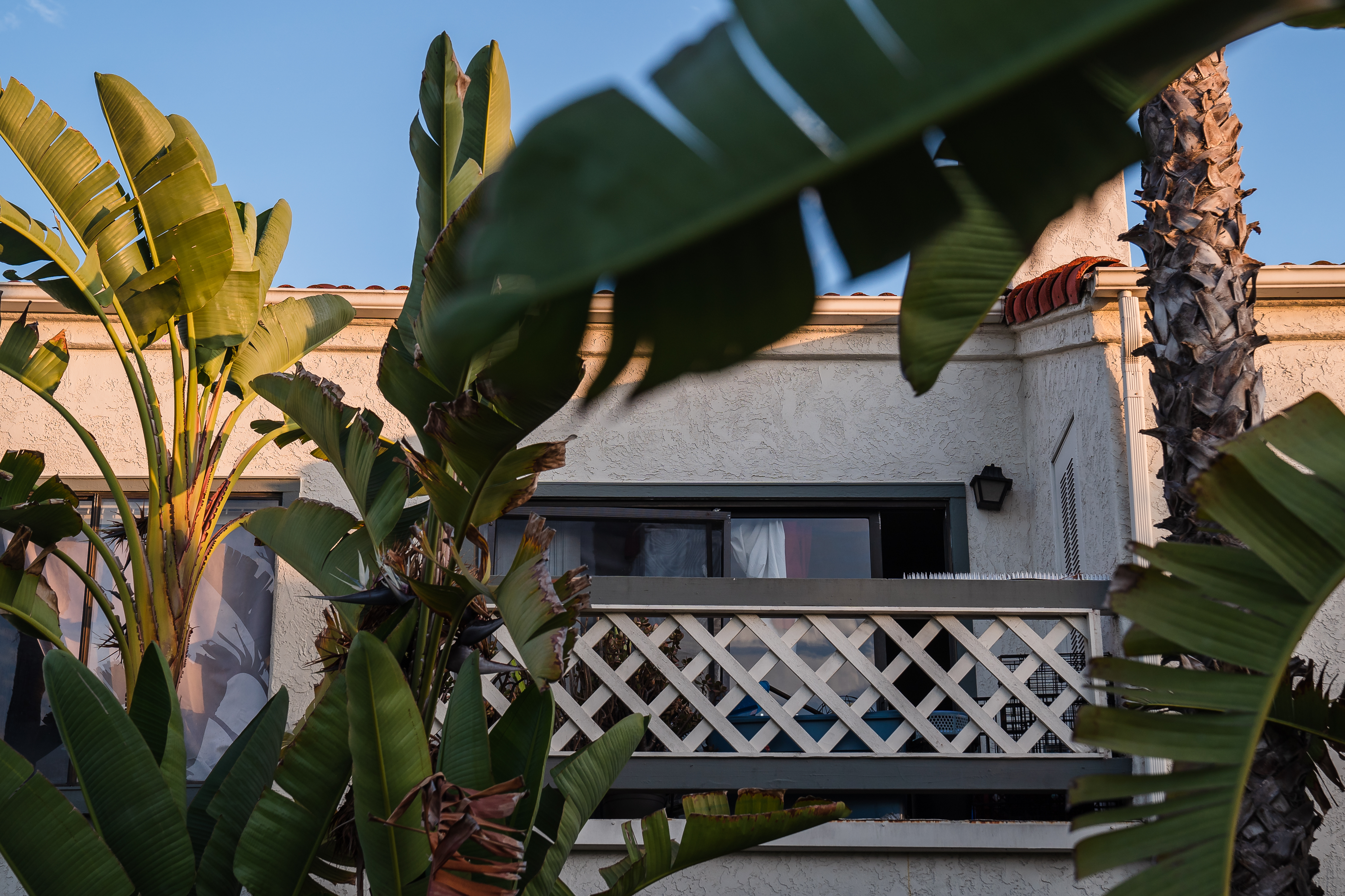 Neighbors, experts question police response to San Diego break-in - Vimarsana News