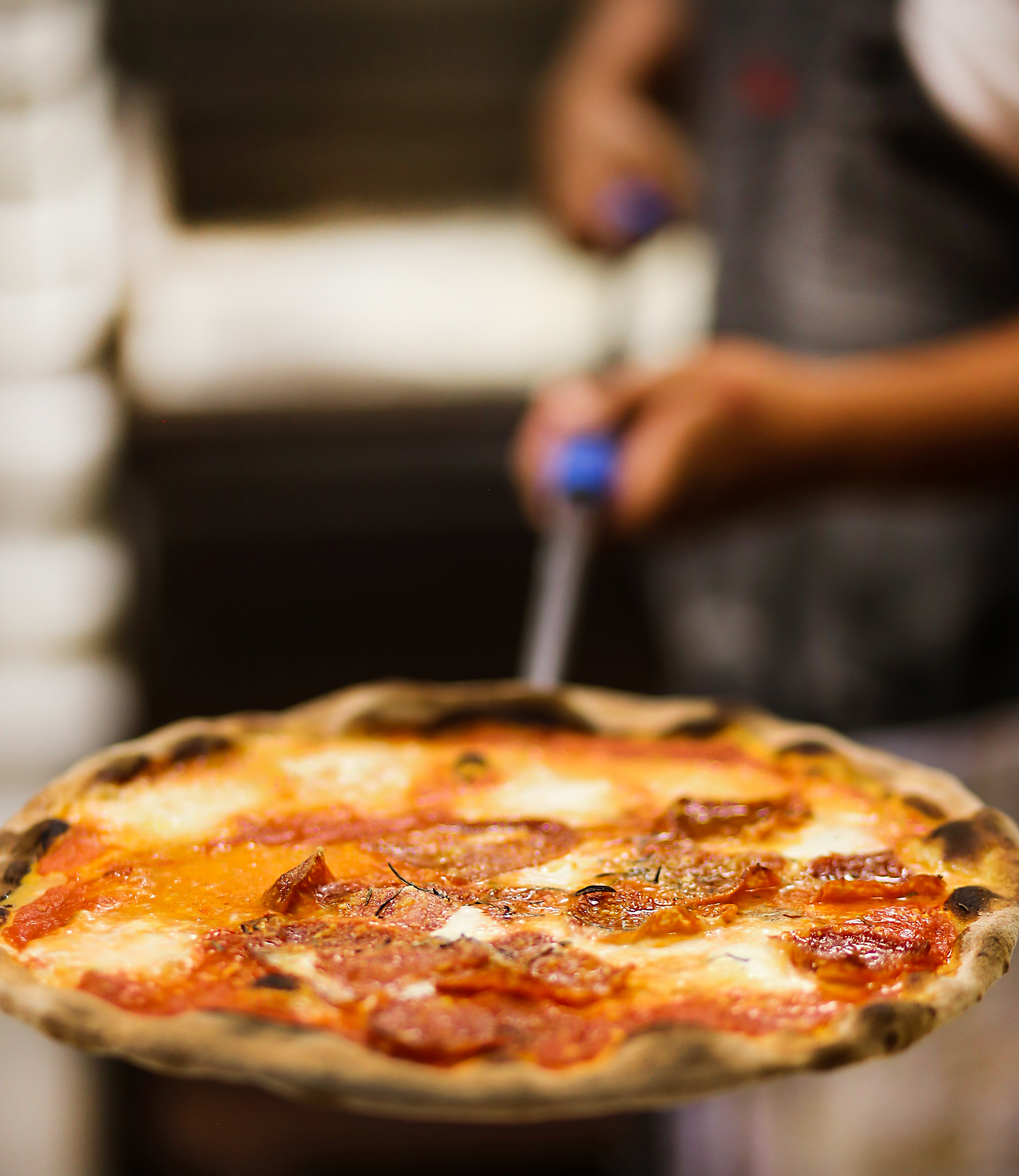 Review: San Diego's No. 1 pizzeria, Ambrogio15, just changed its dough. How does it taste? - Vimarsana News