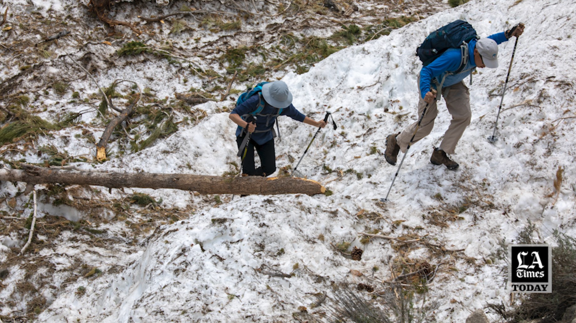 LA Times Today: A perilous trek scaling Mt. Whitney to the top of California's record snowpack - Vimarsana News