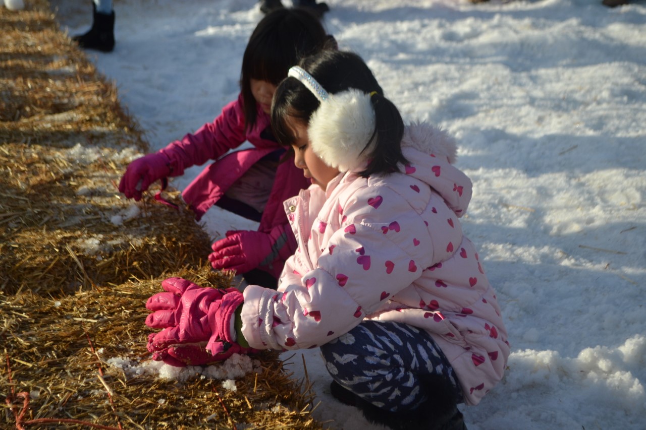 Poway gets snow days during Winter Festival - Vimarsana News