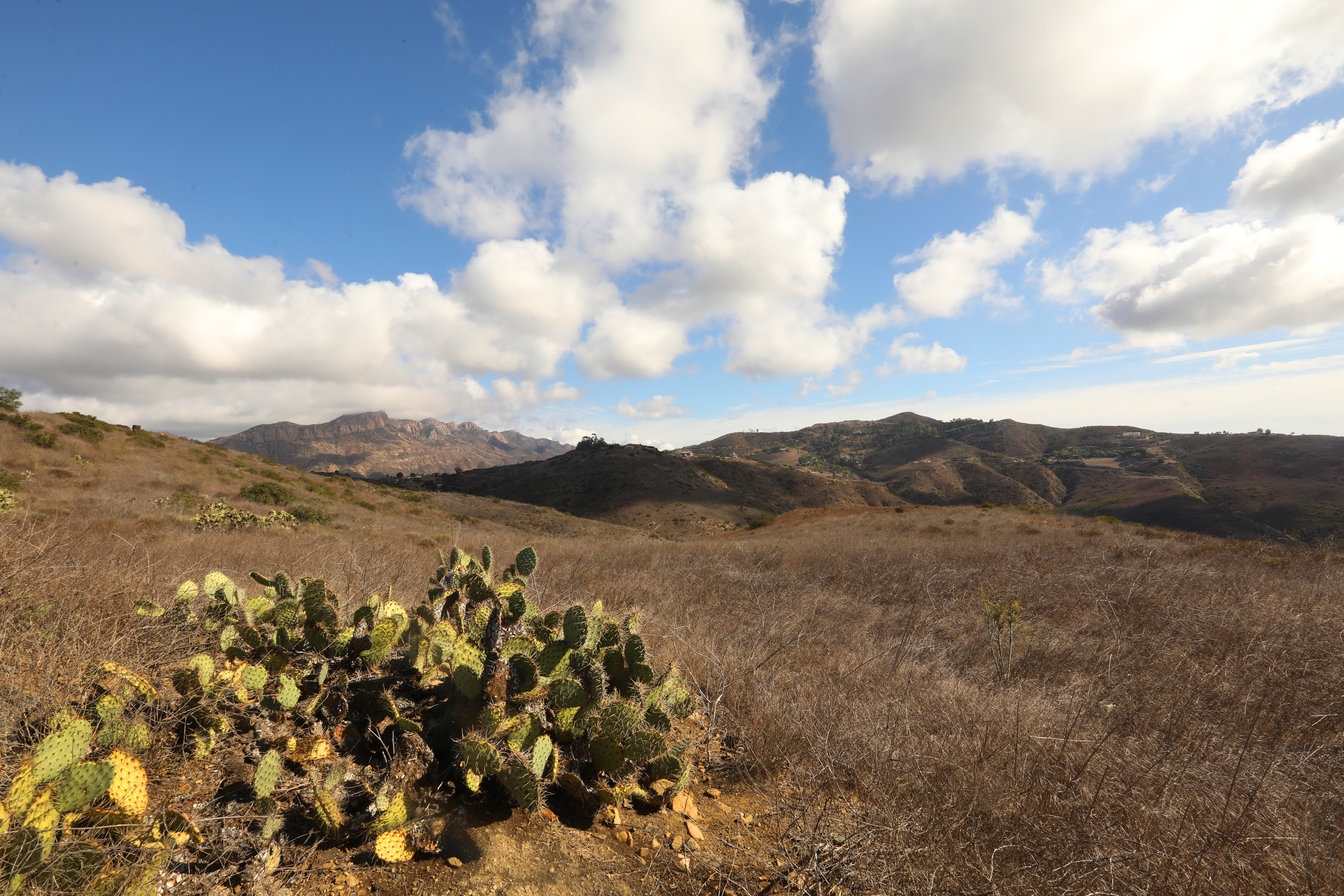 Coveted oceanfront land will become a nature preserve - Vimarsana News