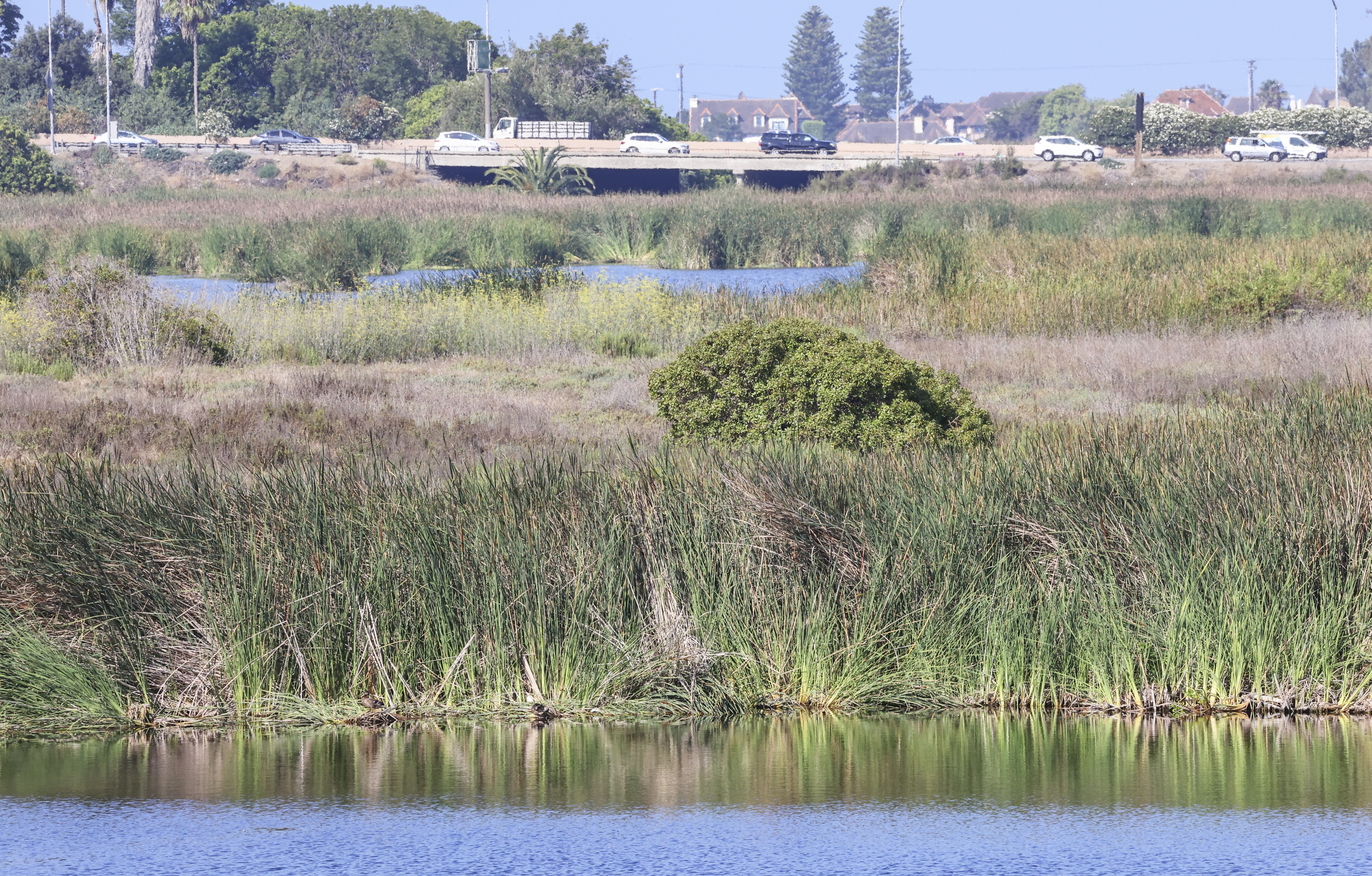 Buena Vista Lagoon project gets $1 million from state - Vimarsana News