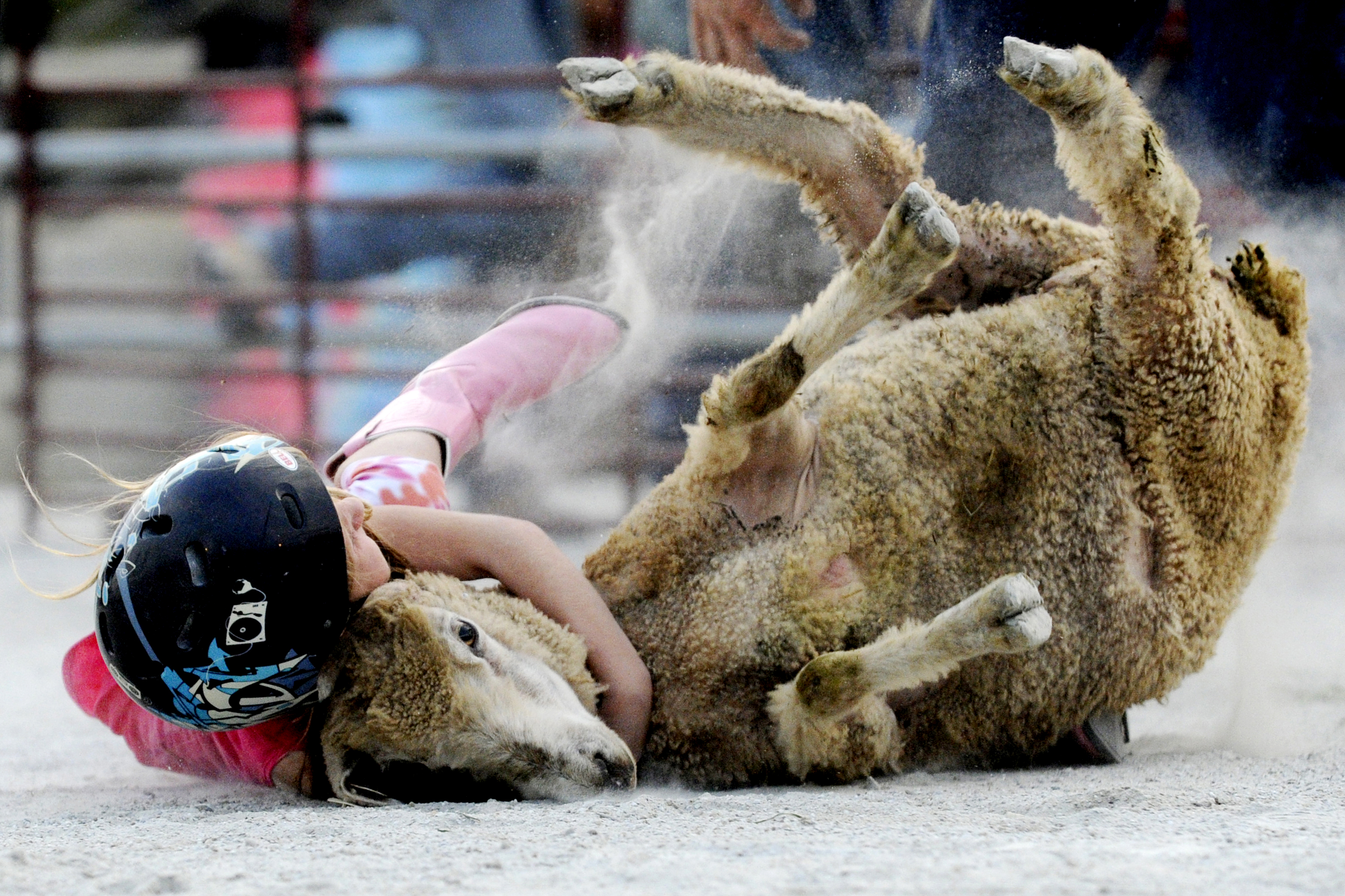 California poised to buck rodeos, another foray in the culture wars - Vimarsana News