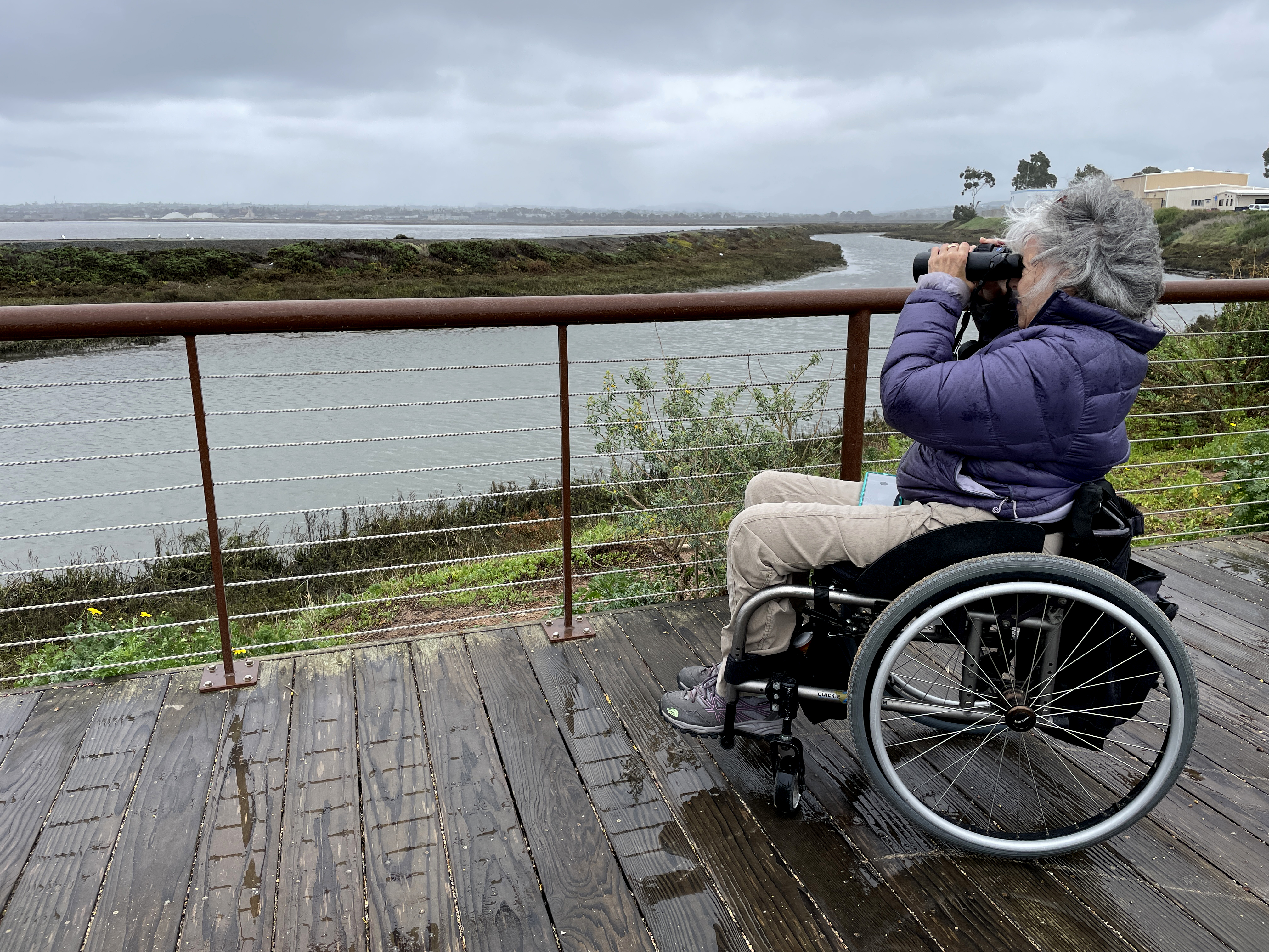 Op-Ed: It's easier than you might think to make birding more accessible to more people - Vimarsana News