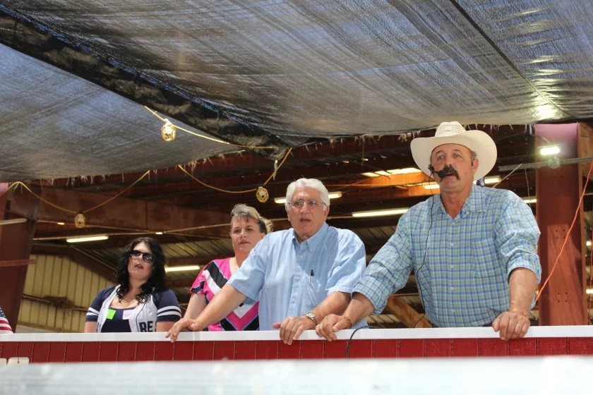 Ramona Junior Fair: Auctioneers keep bids high and audience entertained - Vimarsana News