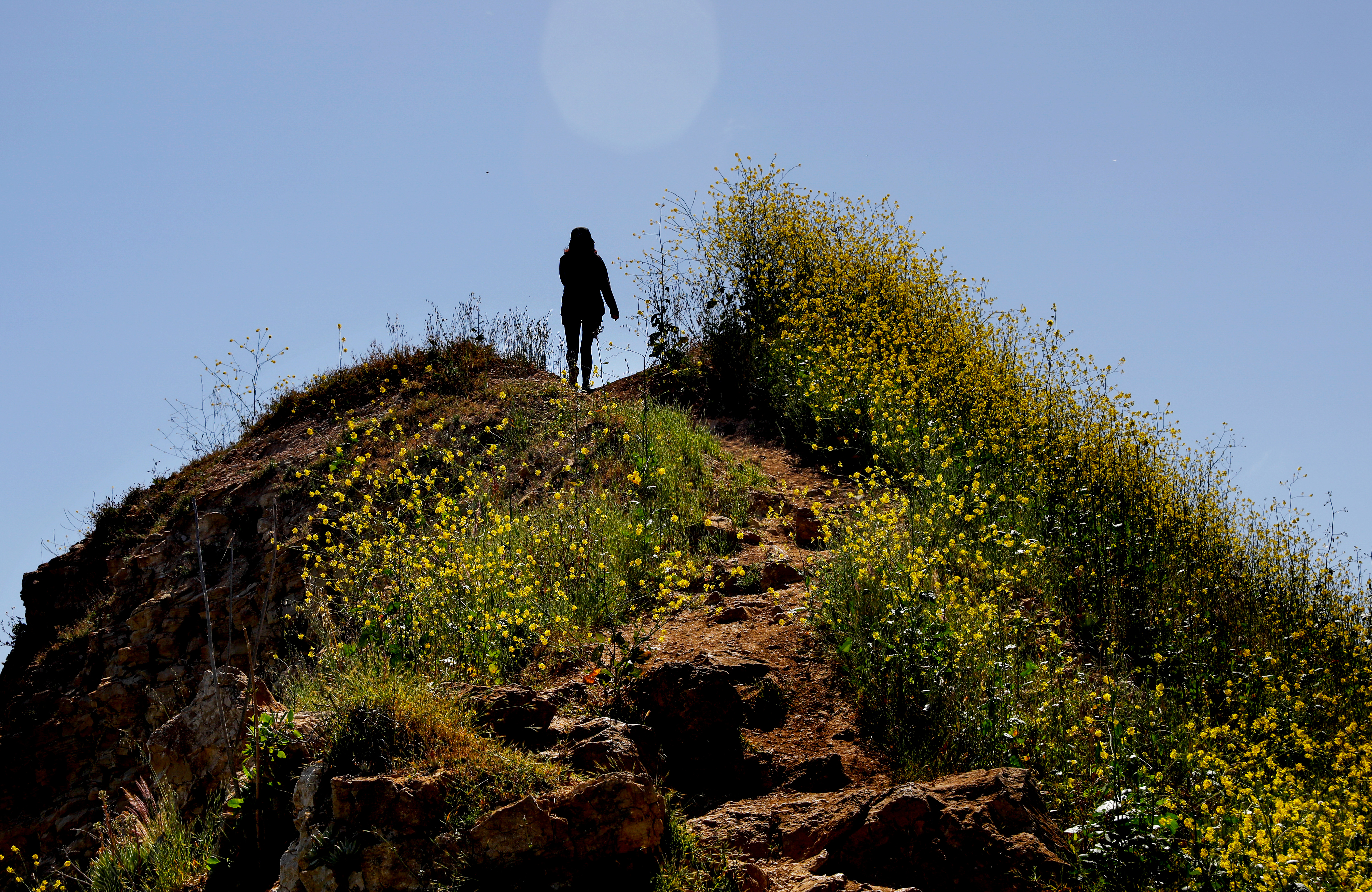 Wet winter may delay — but not deter — 2023 fire season - Vimarsana News