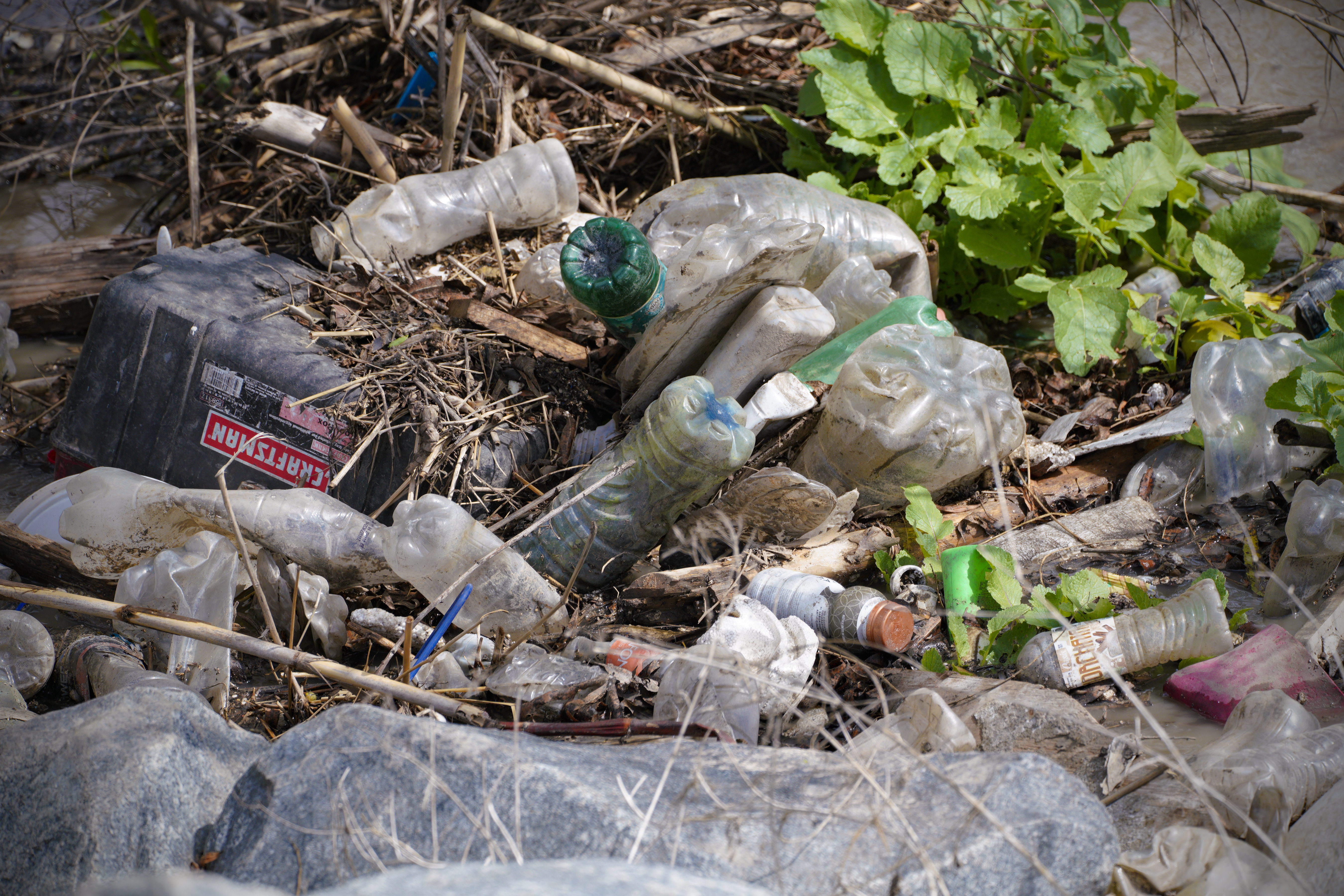 Plastic pollution isn't just bad for the environment — it's bad for our health - Vimarsana News