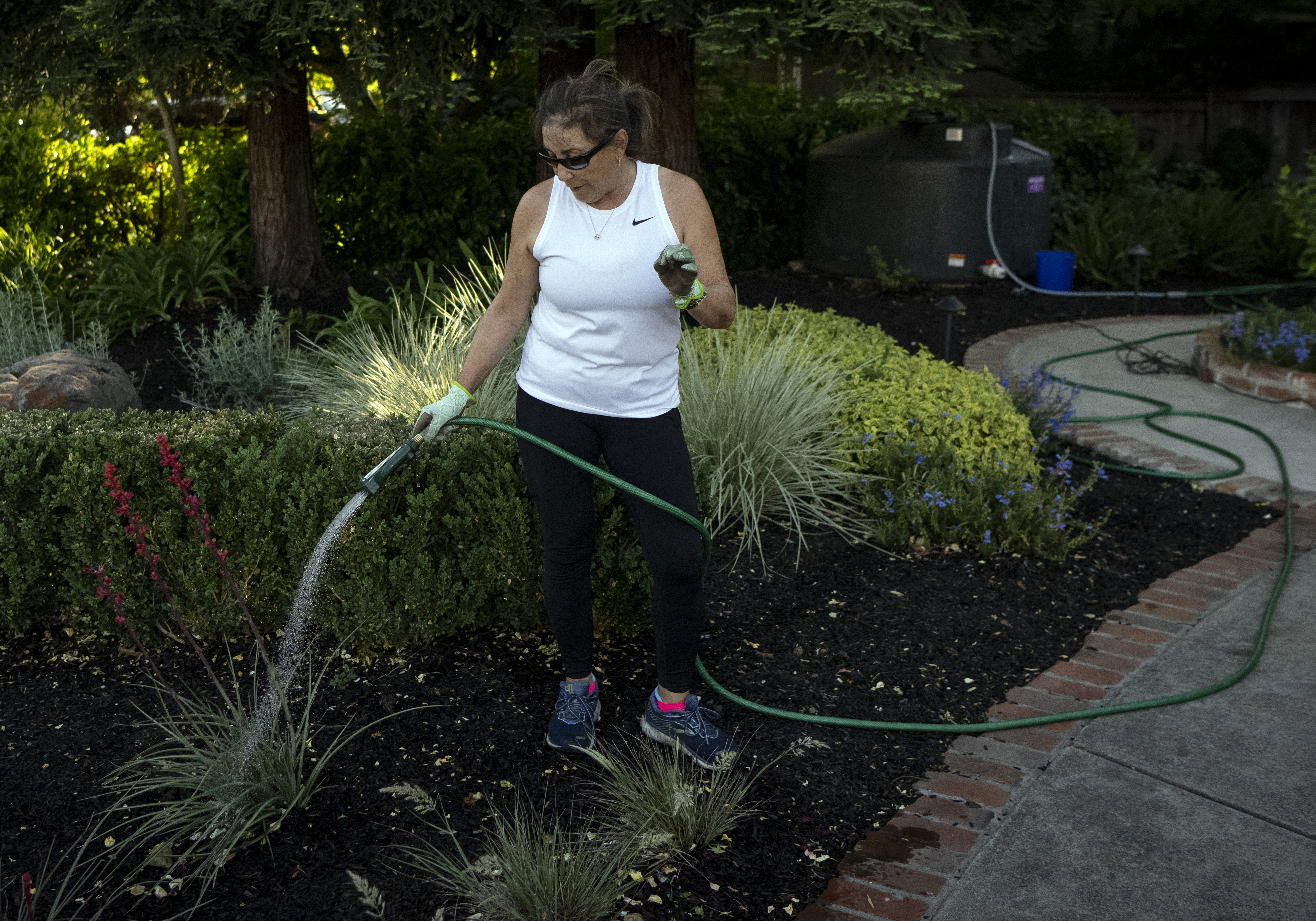 Lessons in adapting to California drought and water scarcity - Vimarsana News