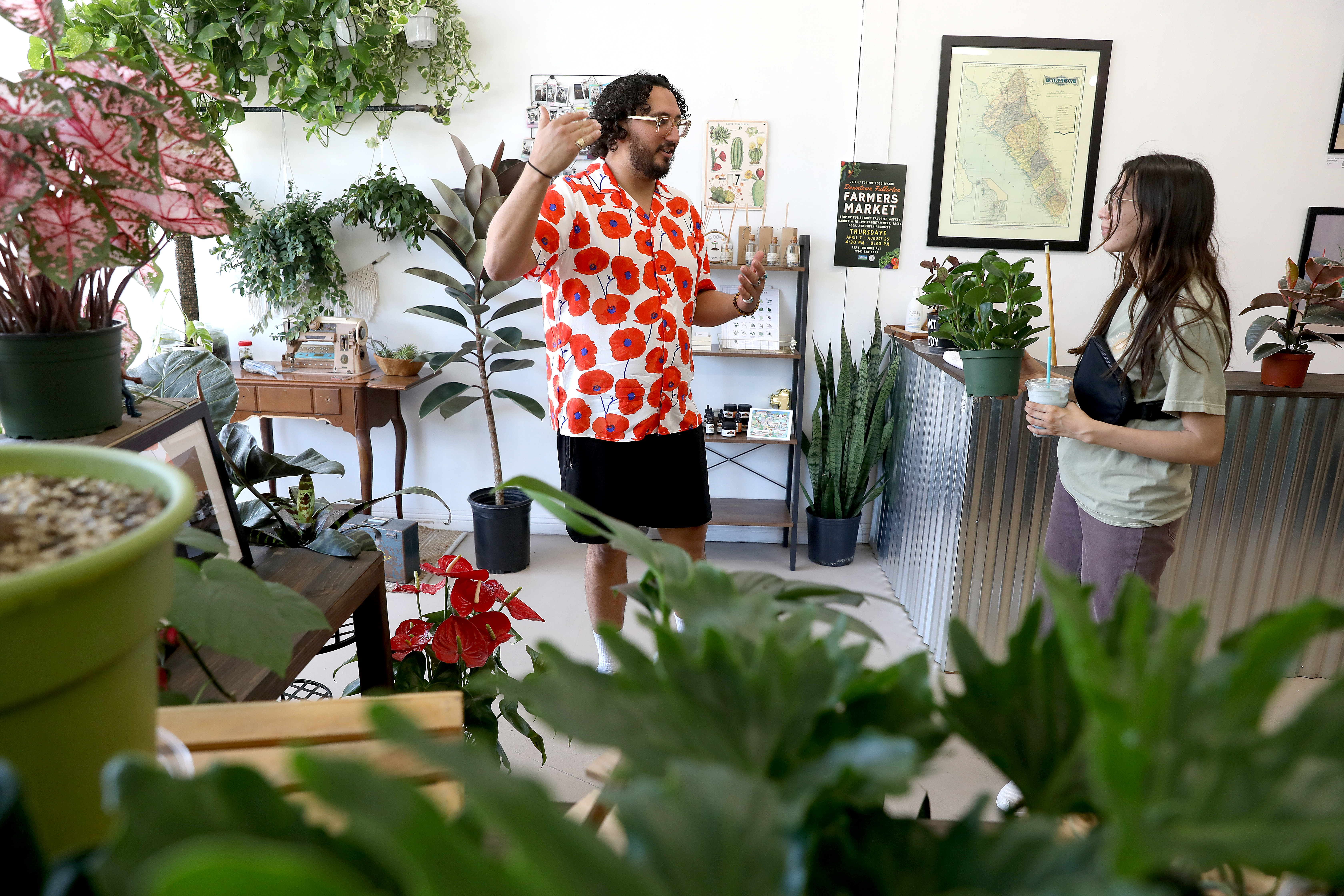 Trio of siblings bring offbeat Fullerton plant shop to life - Vimarsana News