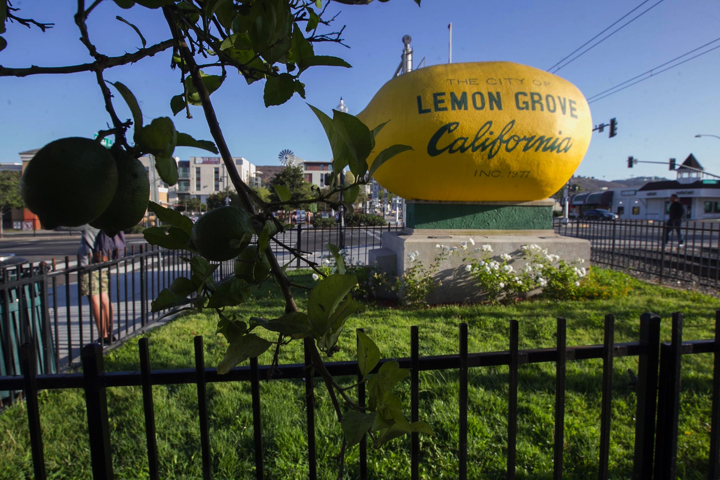 Lemon Grove creates two positions - Vimarsana News