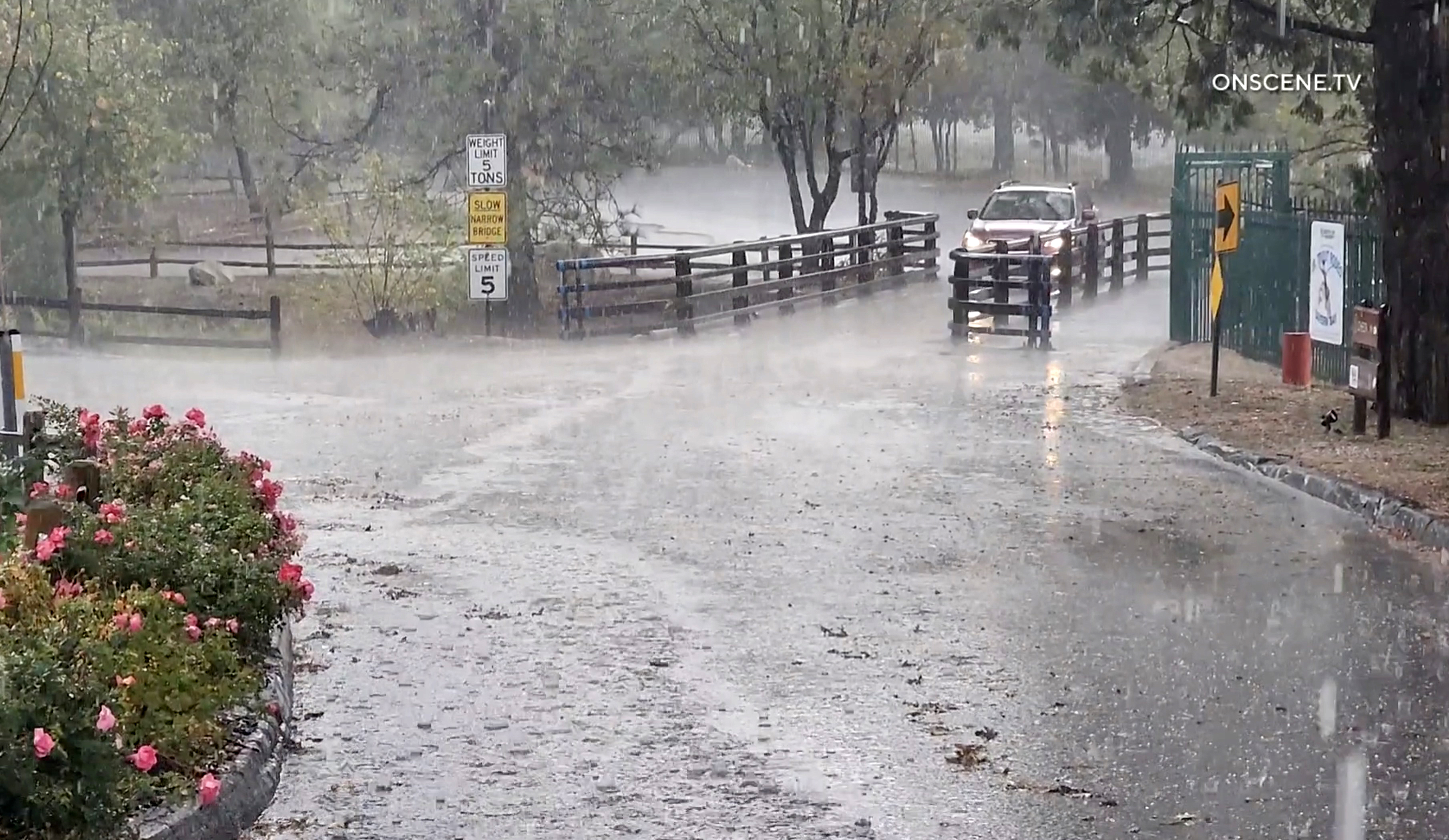 L.A. area to see showers, heavy downpours this weekend - Vimarsana News