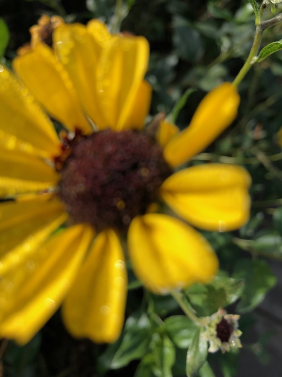 Nature Collective runs free outdoor programs this month for all ages - Vimarsana News