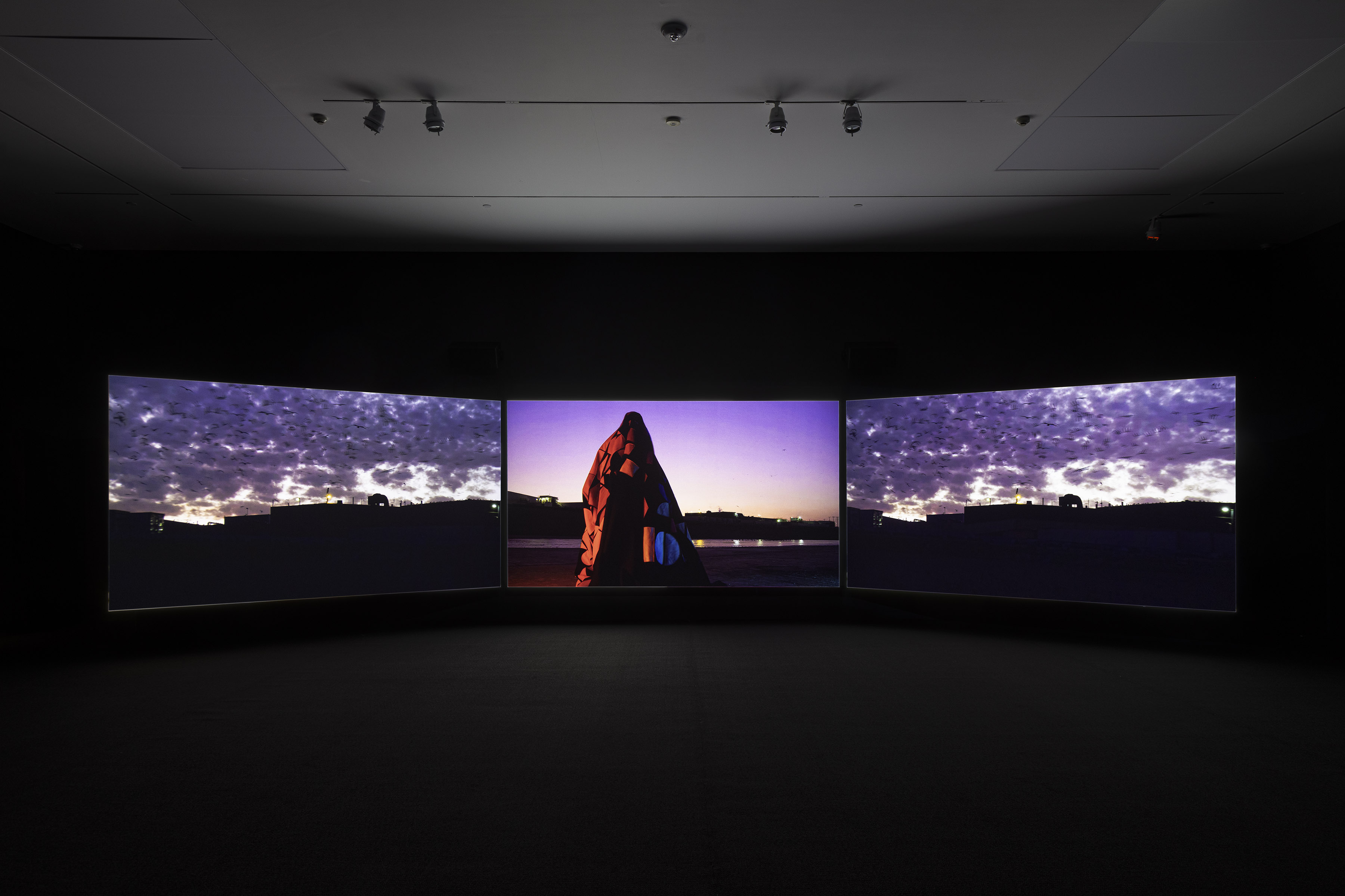 Doug Aitken and L.A. Dance Project premiere COVID exhibition - Vimarsana News