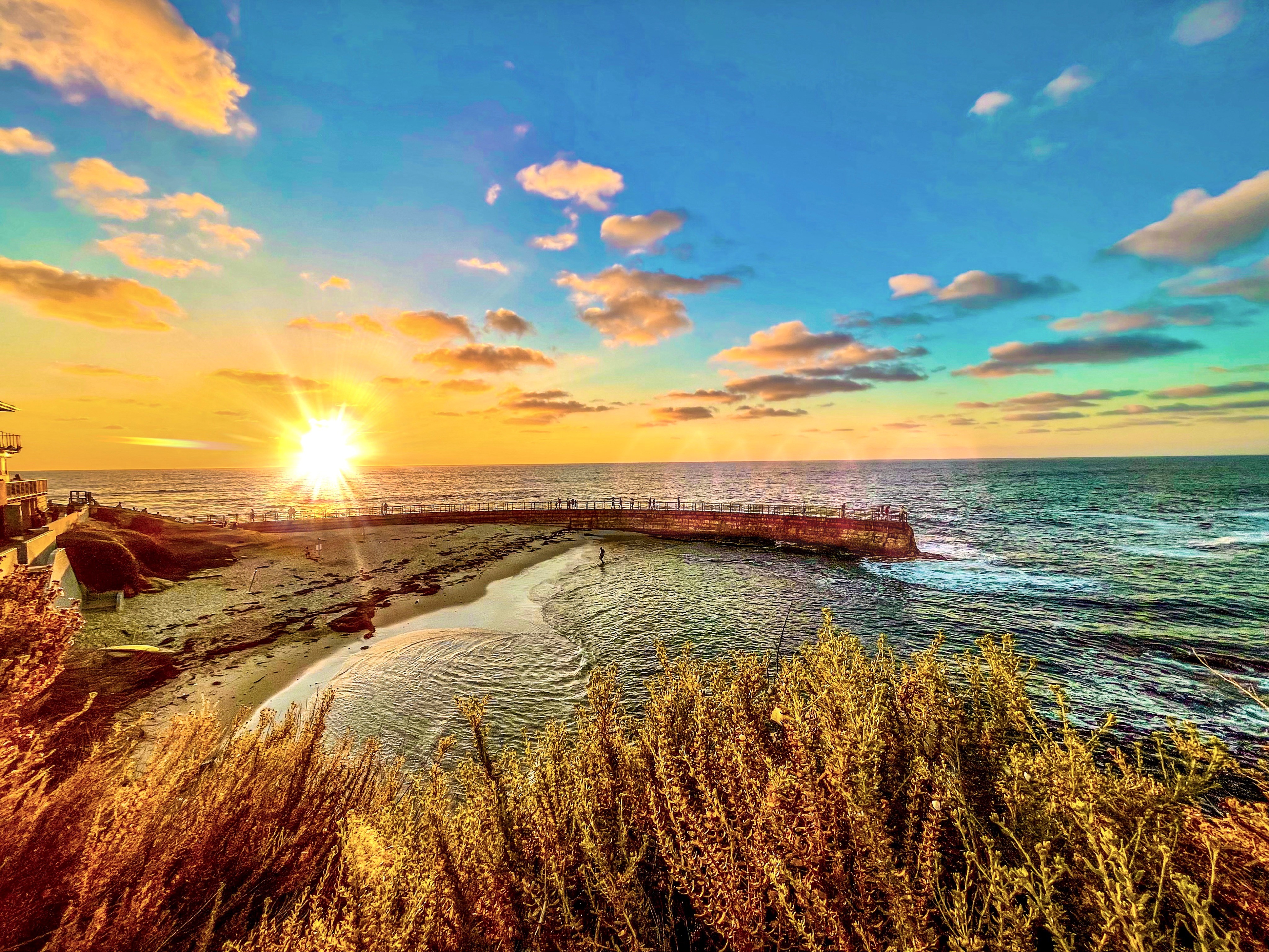 Should La Jolla become its own city? Here's what other San Diegans have to say - Vimarsana News