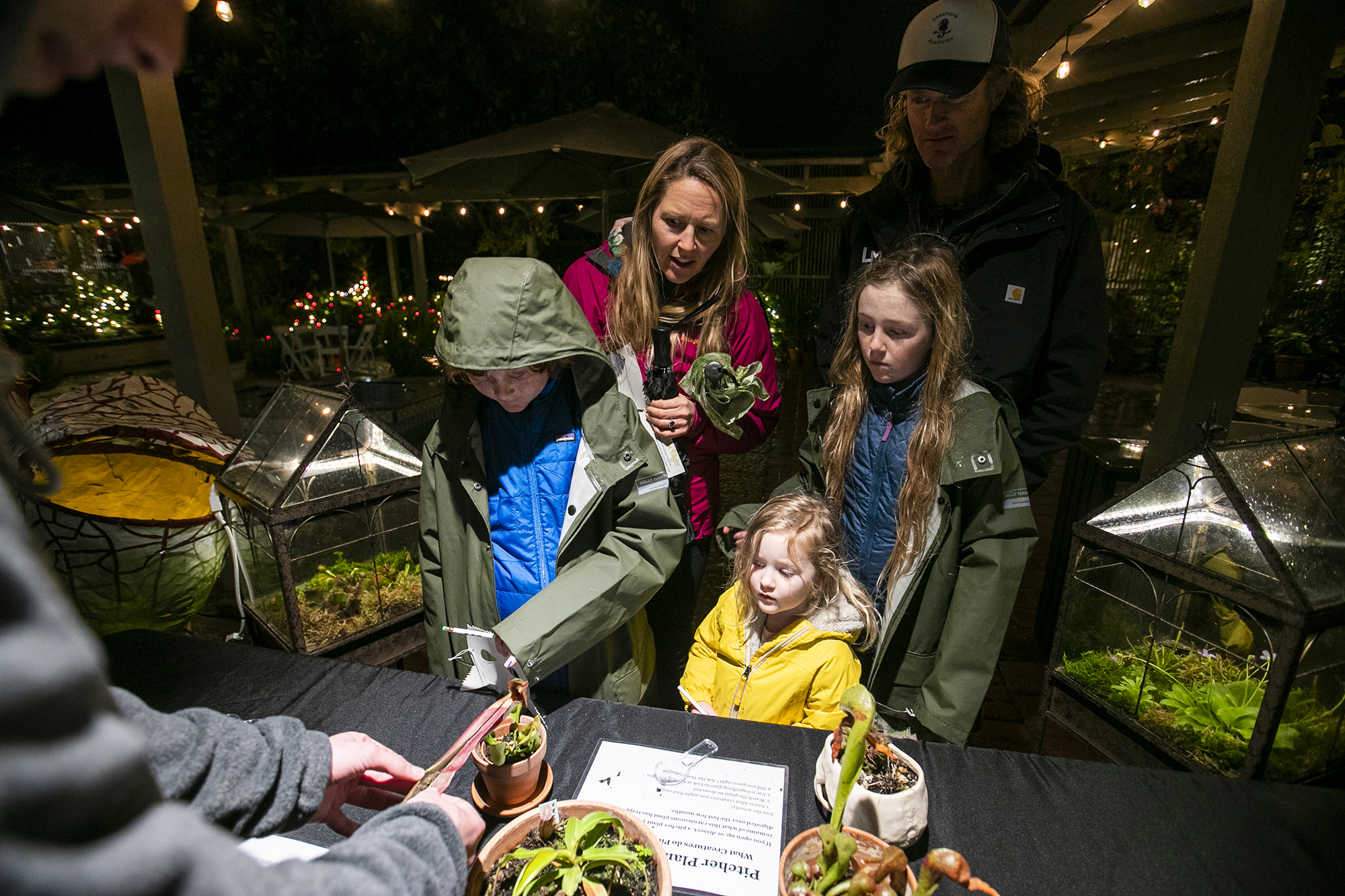 Nocturnal animals, plants in spotlight during 'Creatures of the Night' at Sherman Gardens - Vimarsana News