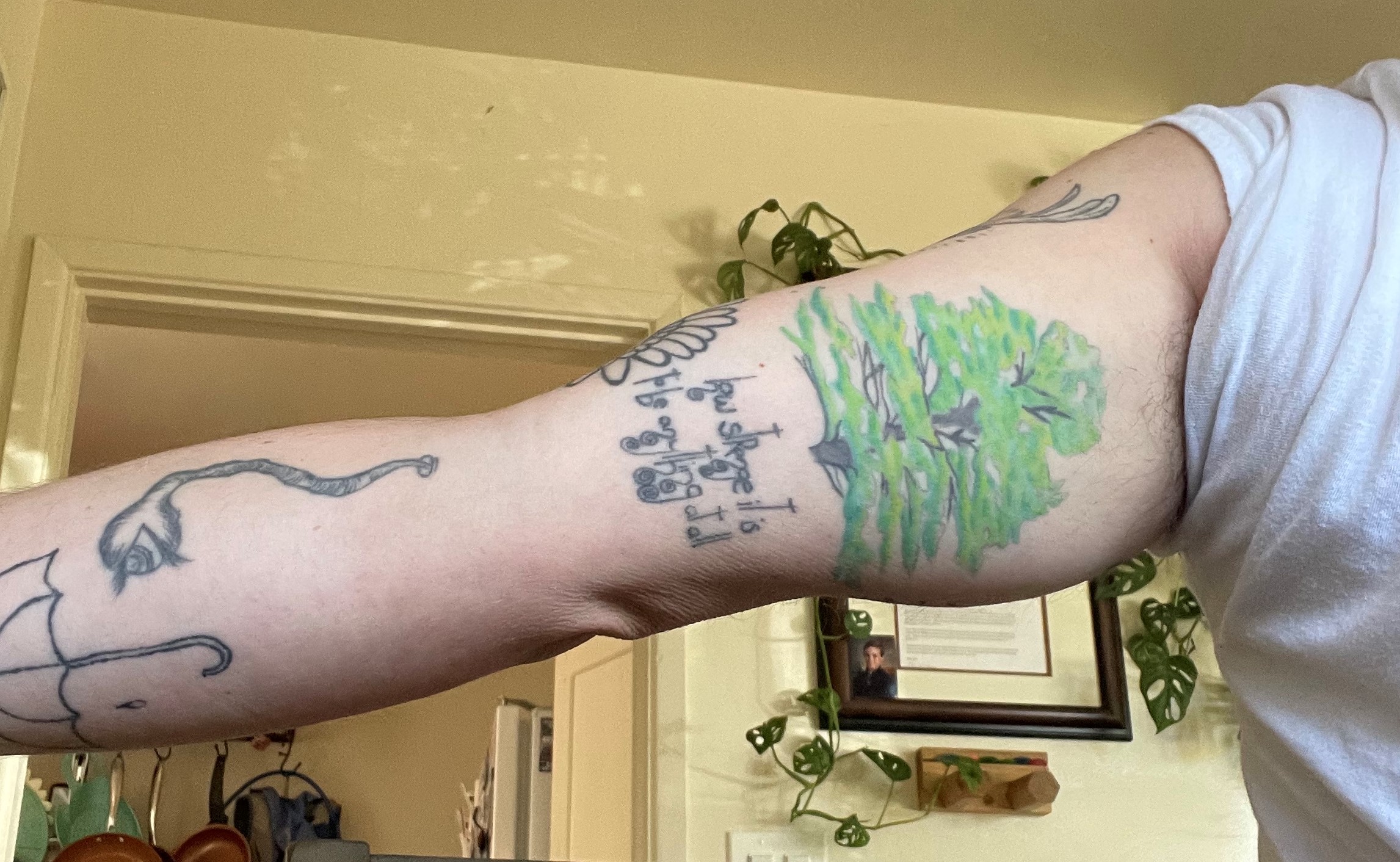 Opinion: My first tattoo is a loblolly pine tree, like the one my parents planted for me as a baby. - Vimarsana News